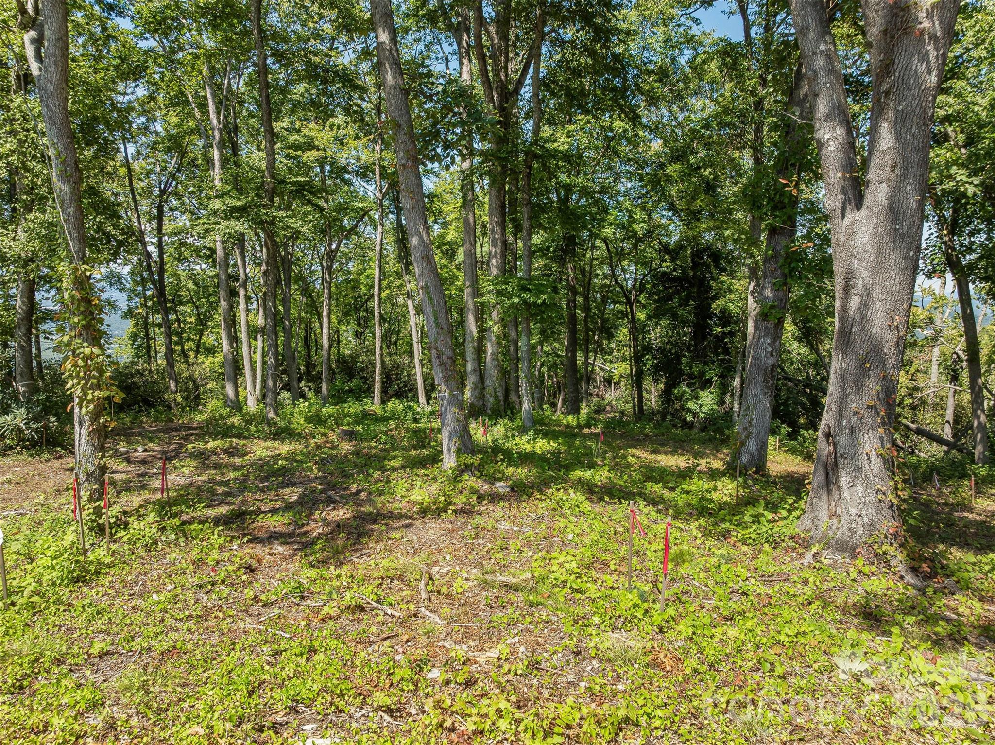 Lot 42 Haven View Trail Property Photo 9