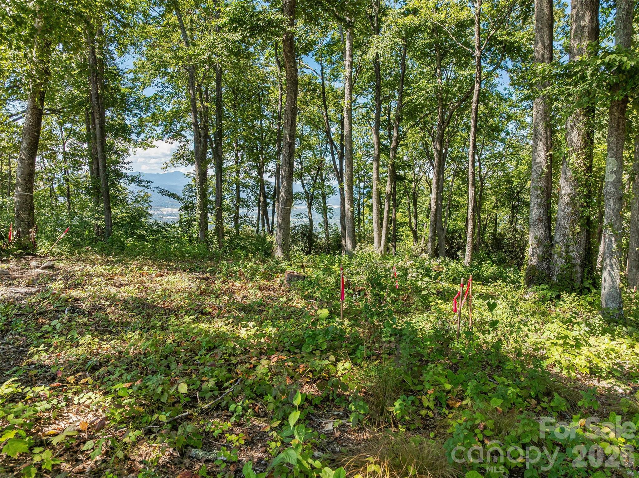 Lot 42 Haven View Trail Property Photo 10