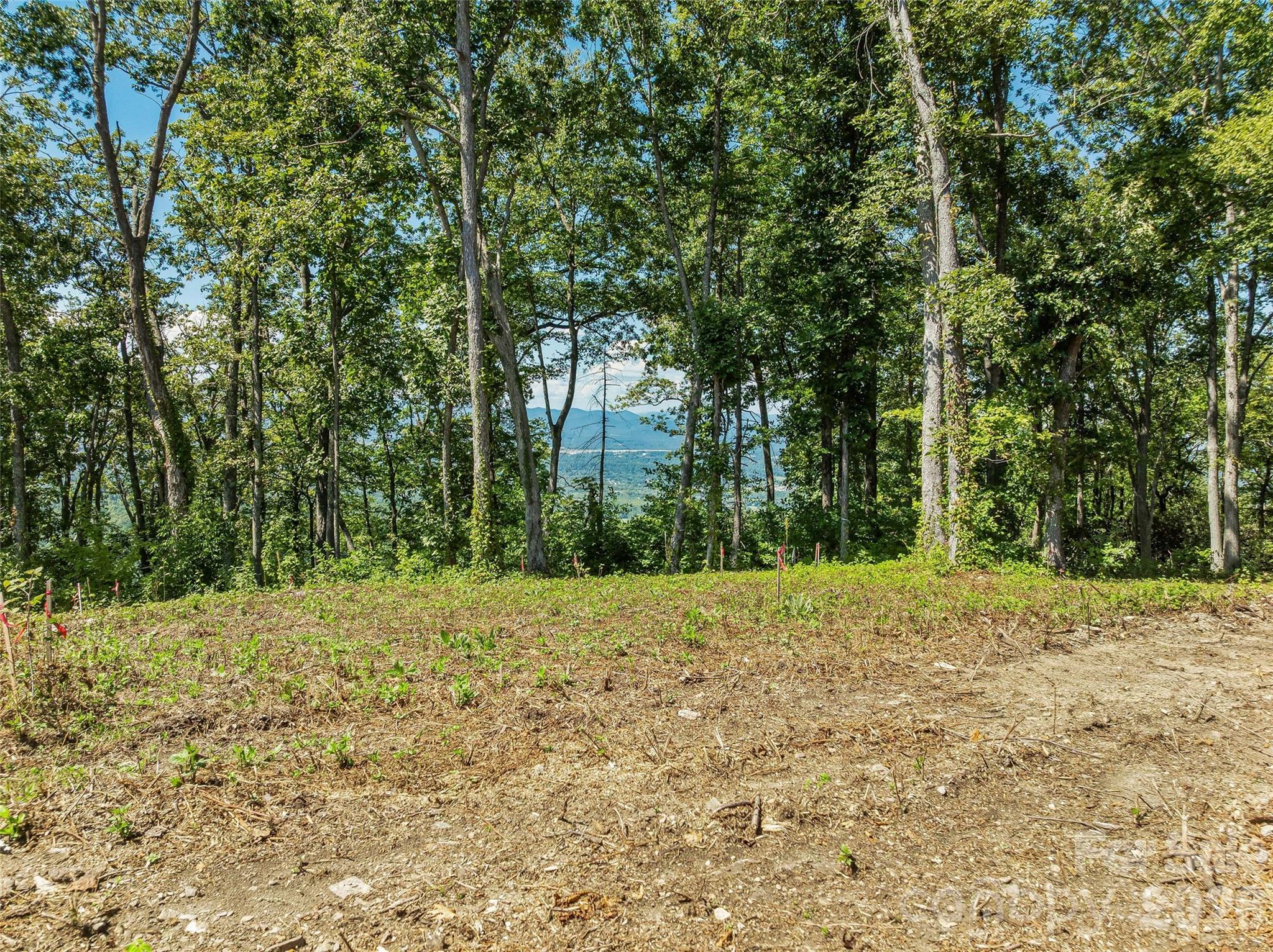Lot 42 Haven View Trail Property Photo 11