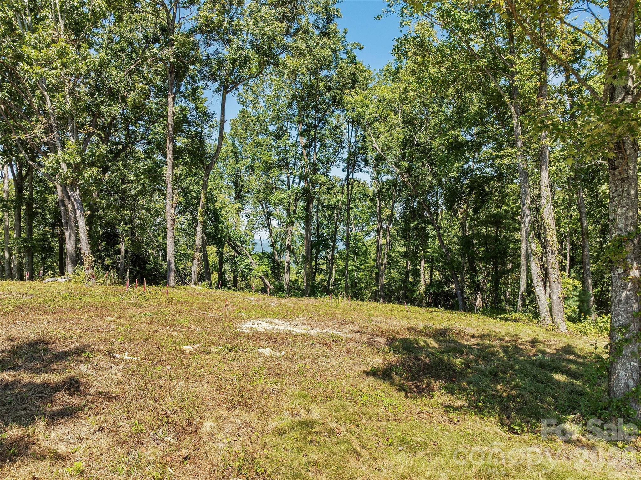 Lot 42 Haven View Trail Property Photo 12