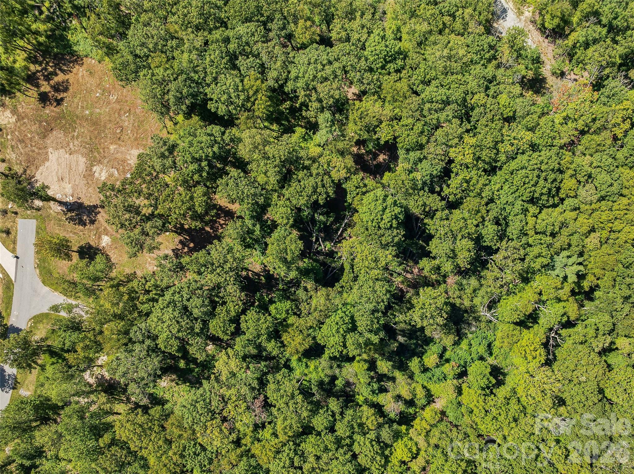 Lot 42 Haven View Trail Property Photo 13
