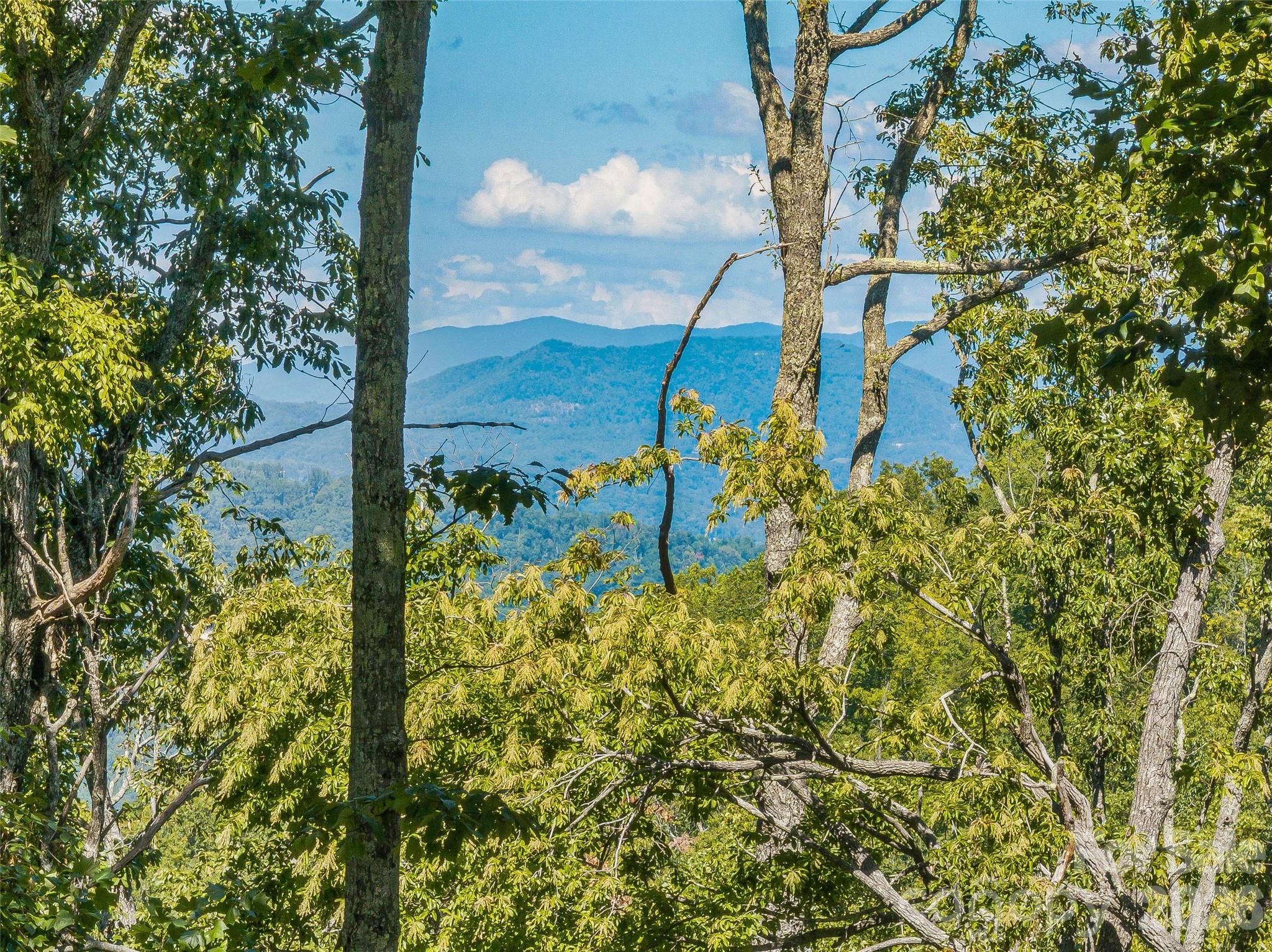 Lot 43 Haven View Trail Property Photo 5