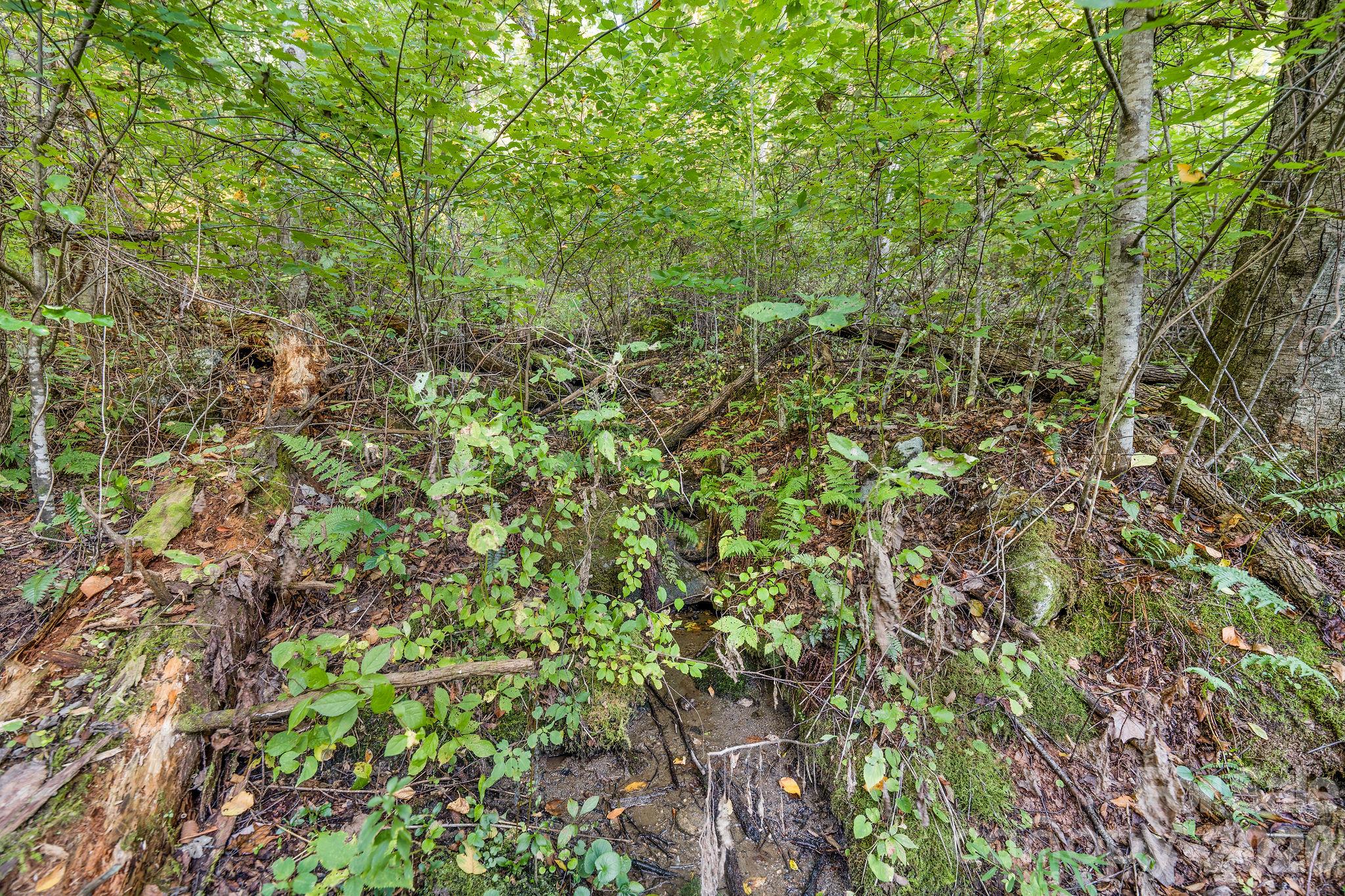 74 Lanzi Ledge Road Property Photo 32