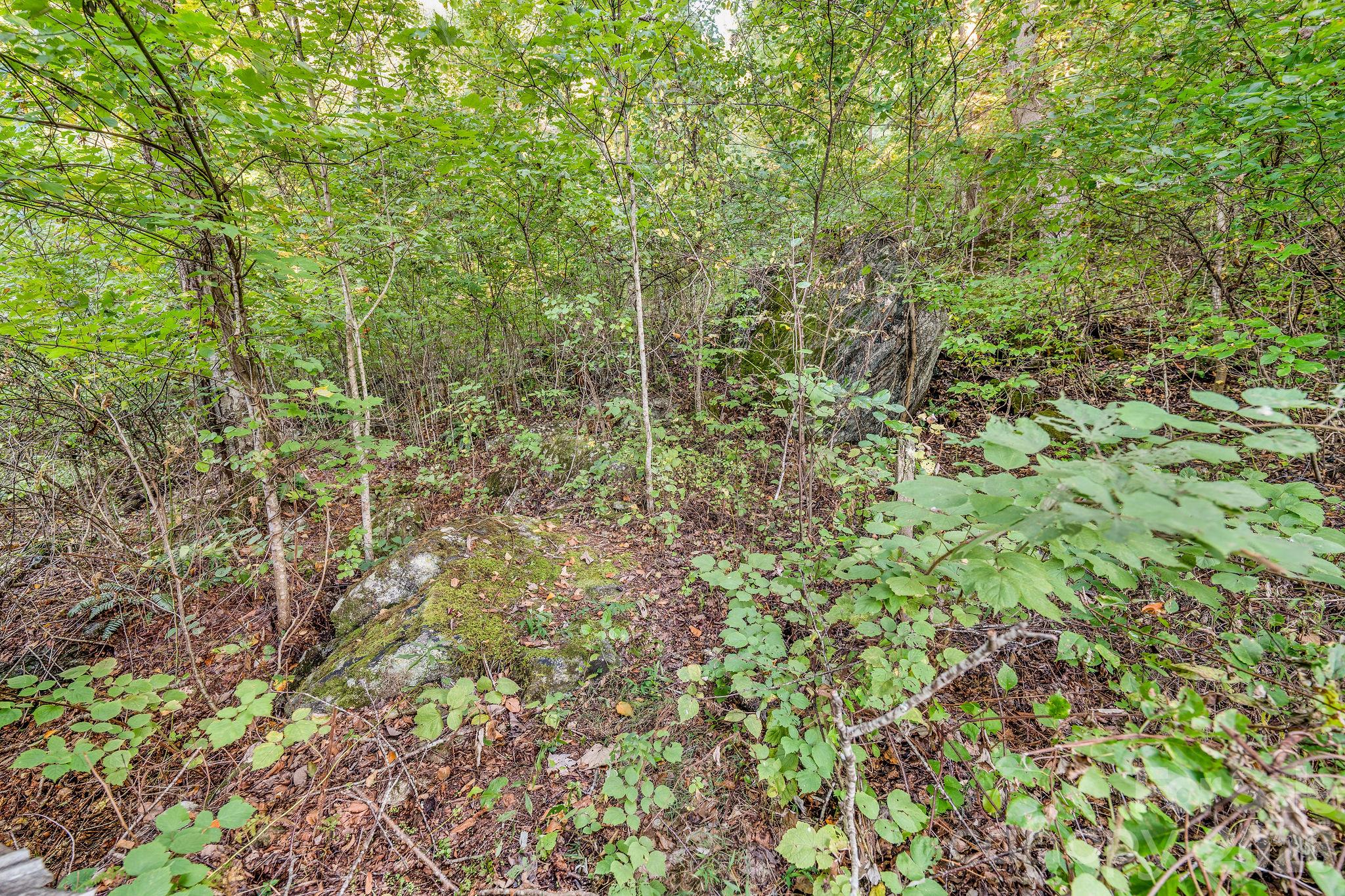 74 Lanzi Ledge Road Property Photo 34