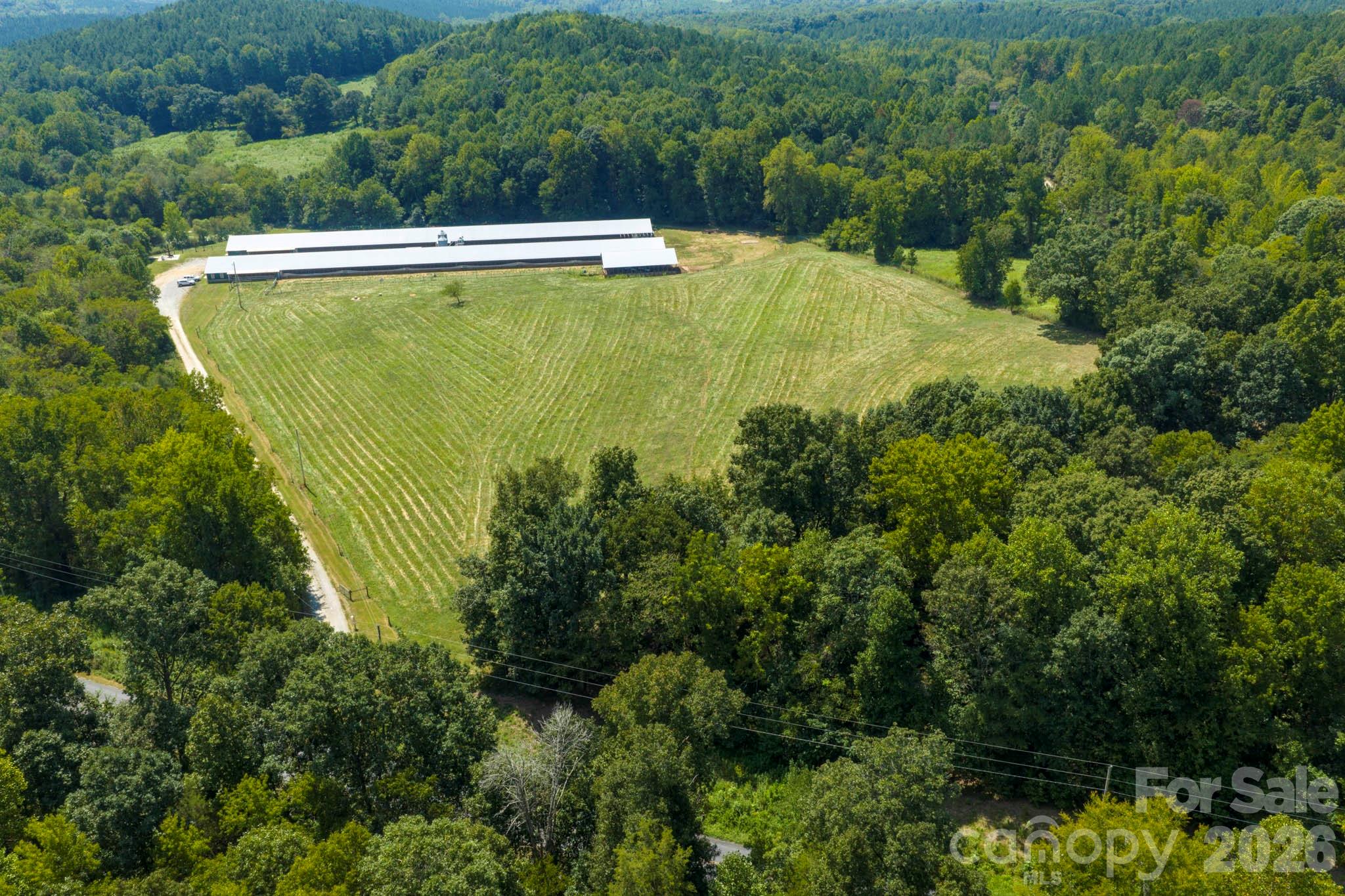 1706 Ross Wood Road Property Photo 7