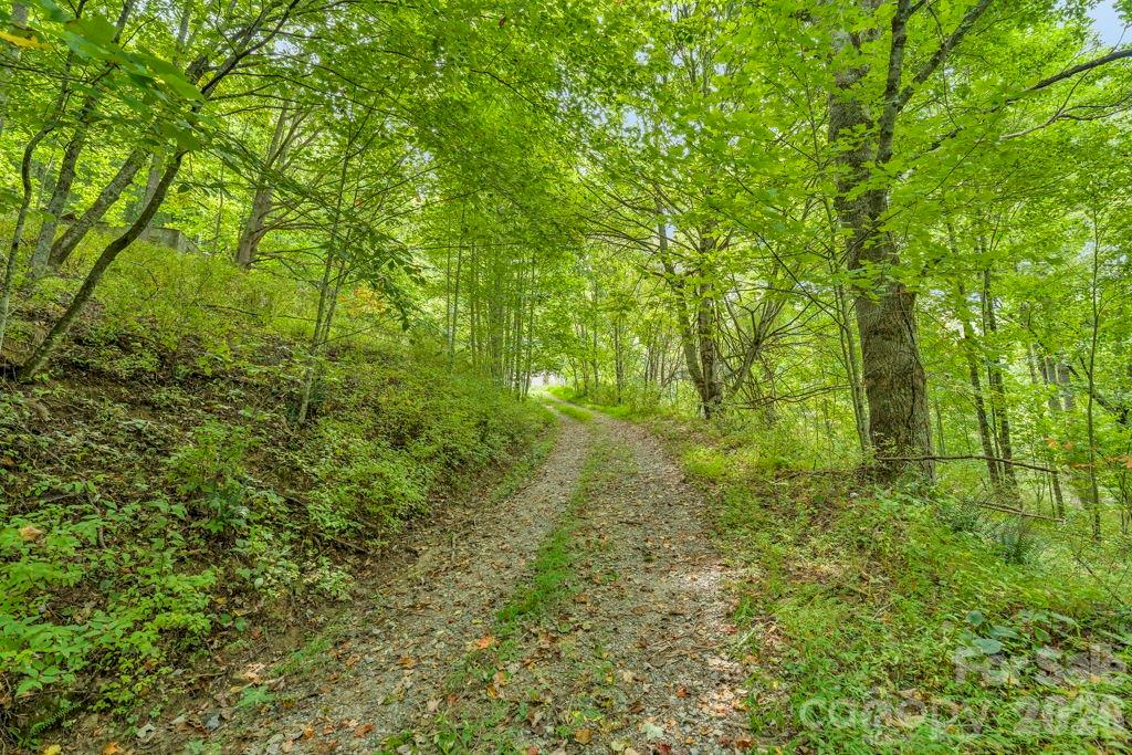1768 Beaver Dam Road Property Photo 1