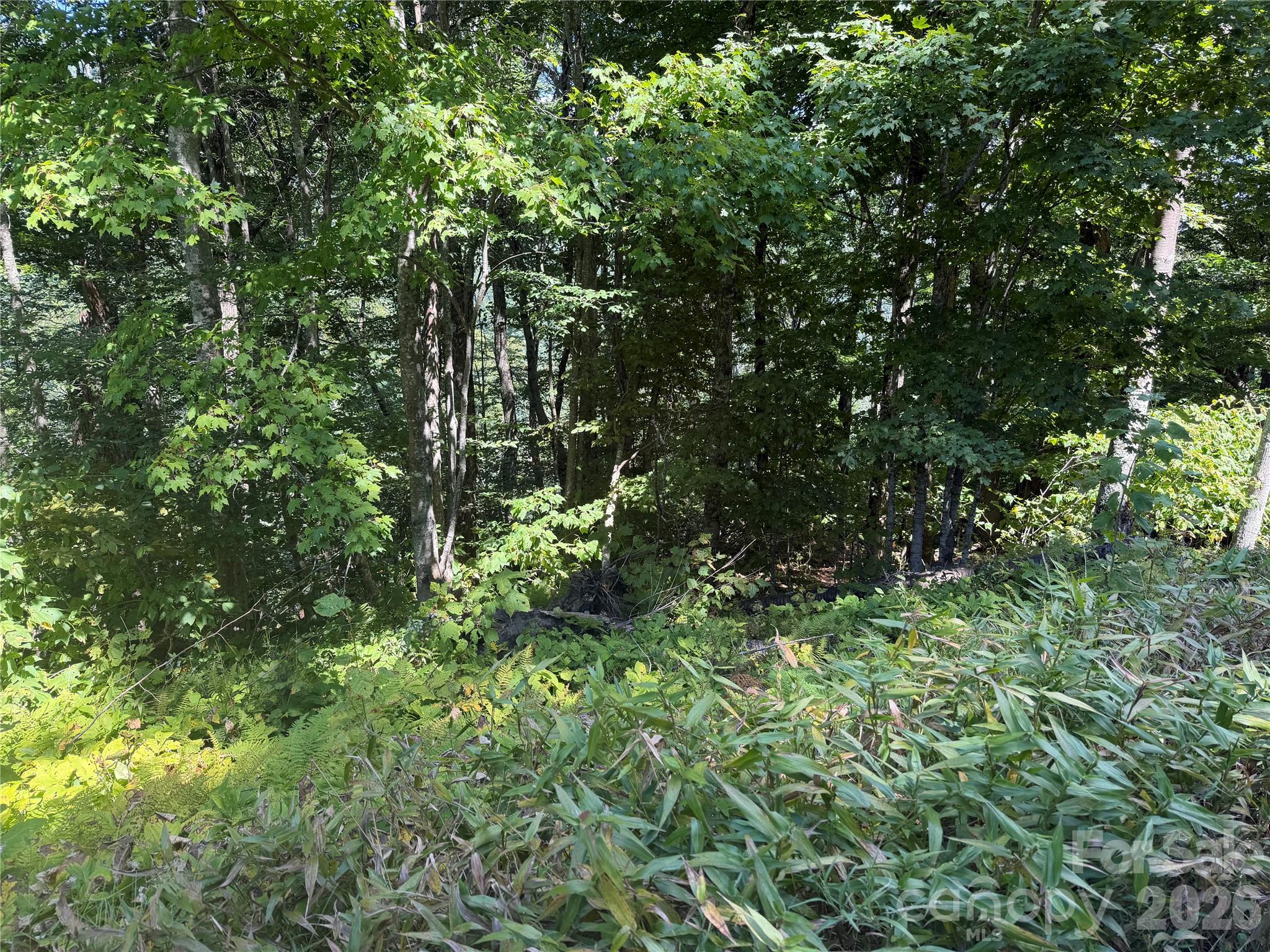 110 Chestnut Lane Property Photo 4