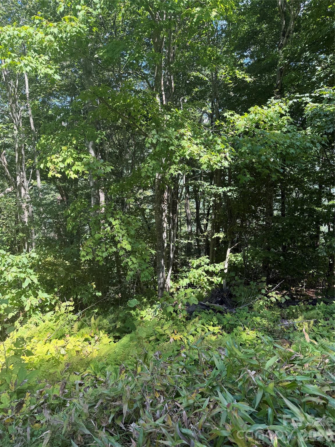 110 Chestnut Lane Property Photo 5