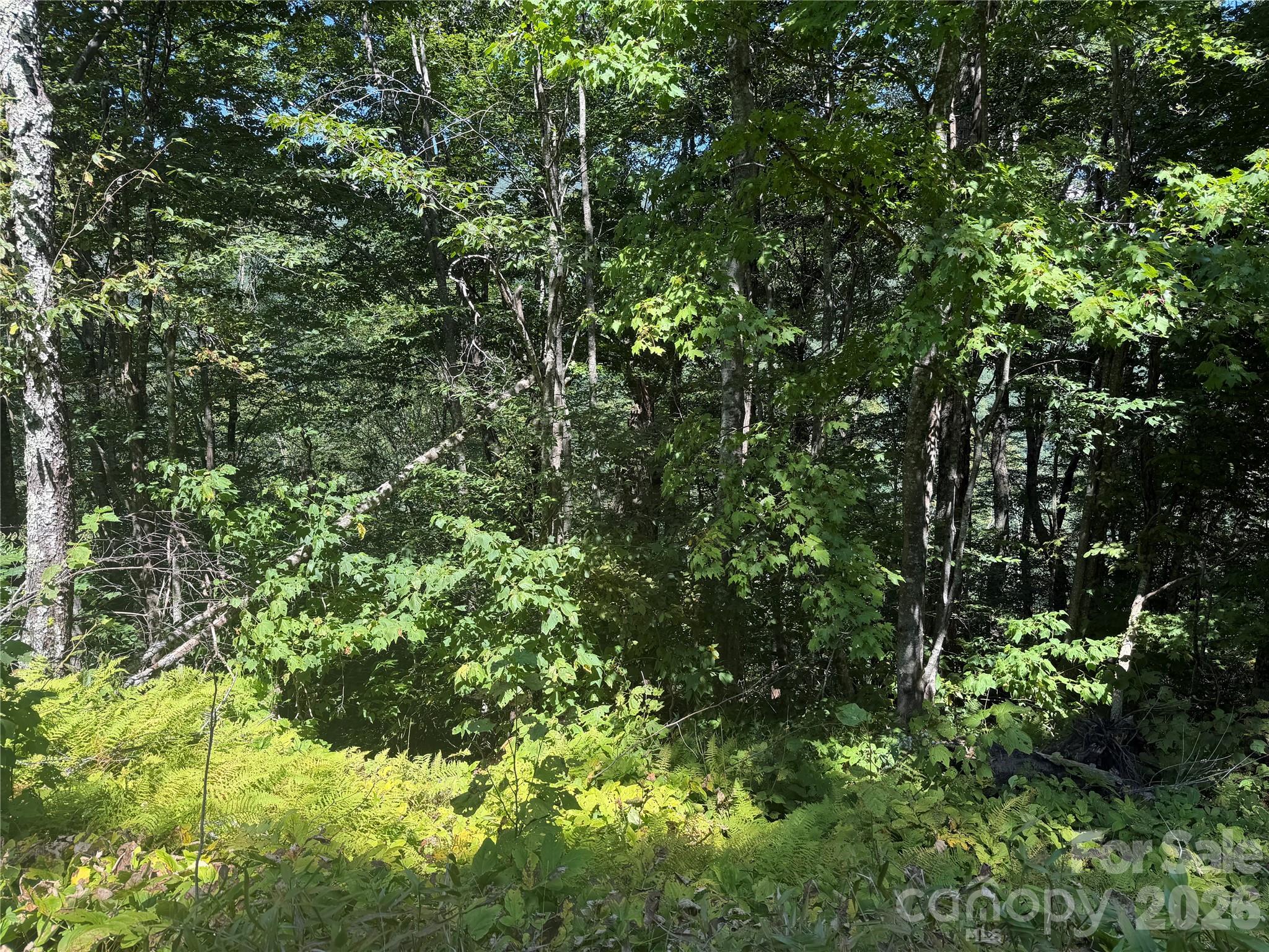 110 Chestnut Lane Property Photo 6