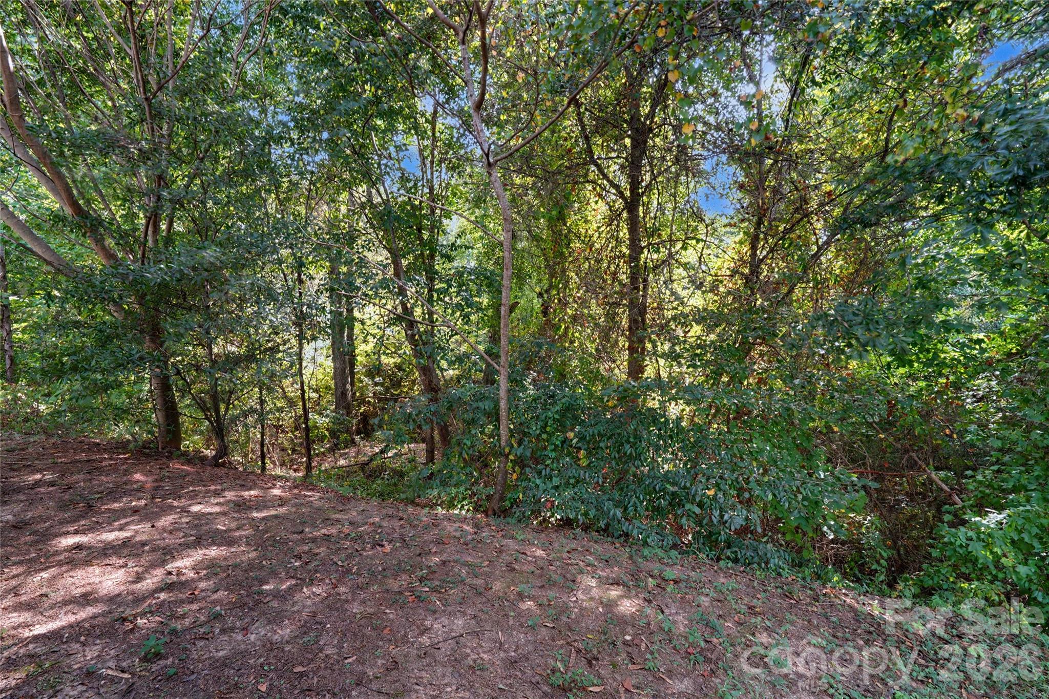 460 Dutch White Drive Property Photo 37
