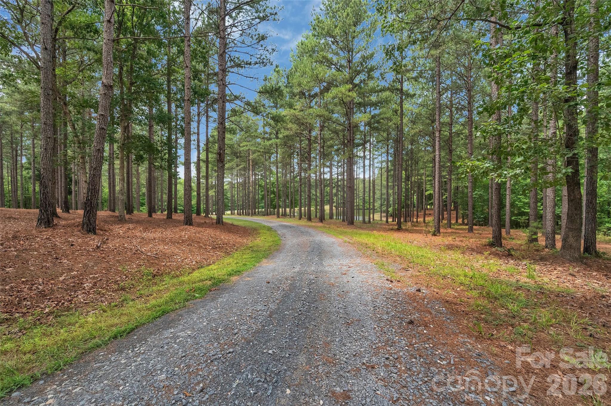1910 Nc Hwy 134 Highway Property Photo 42