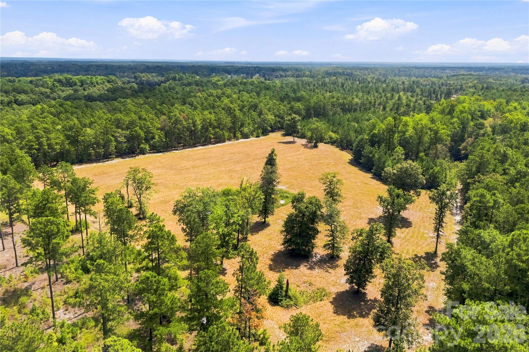 393 Youngs Bend Road Property Photo 45