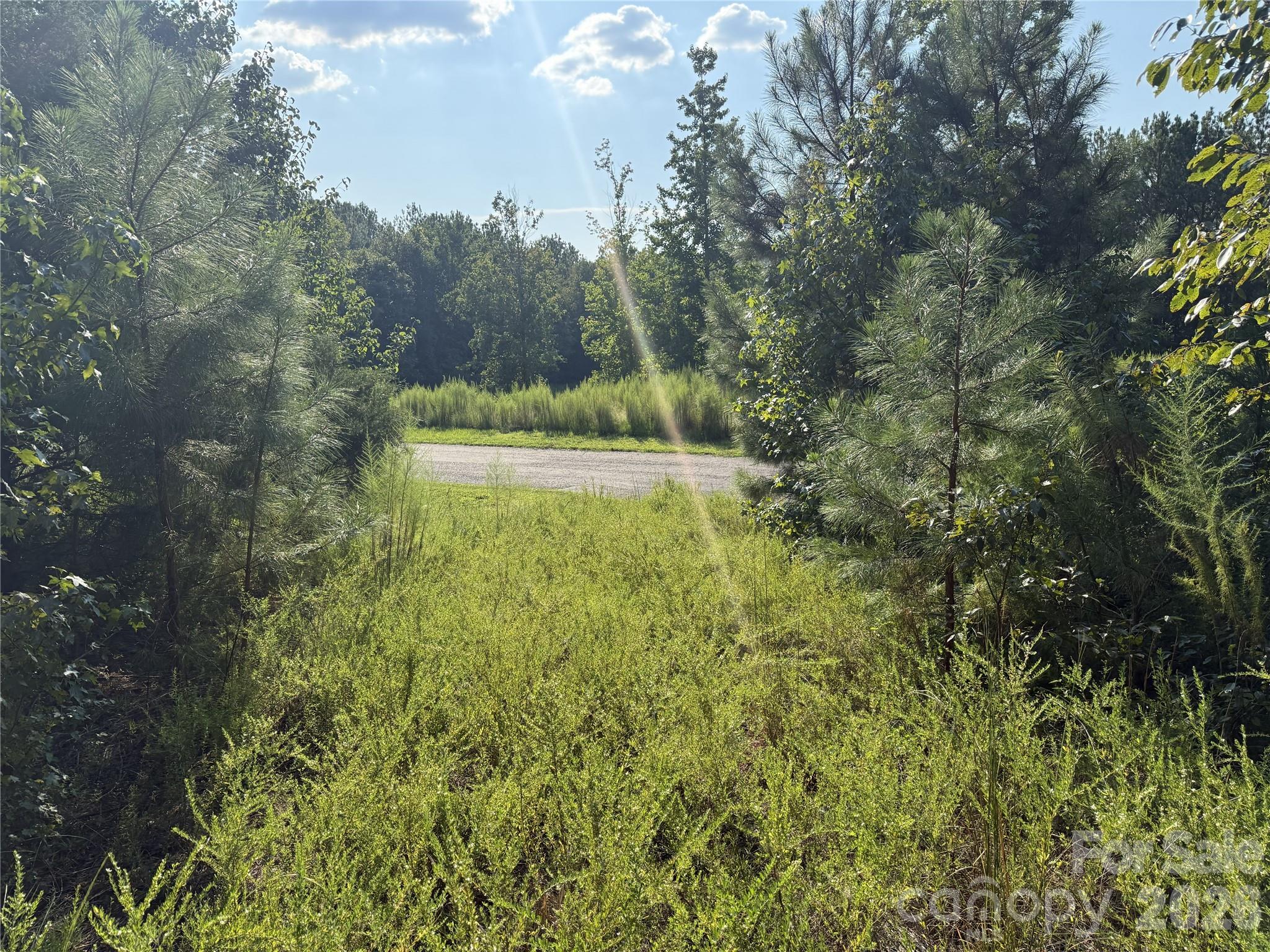 110 River View Drive 5 Property Photo 10