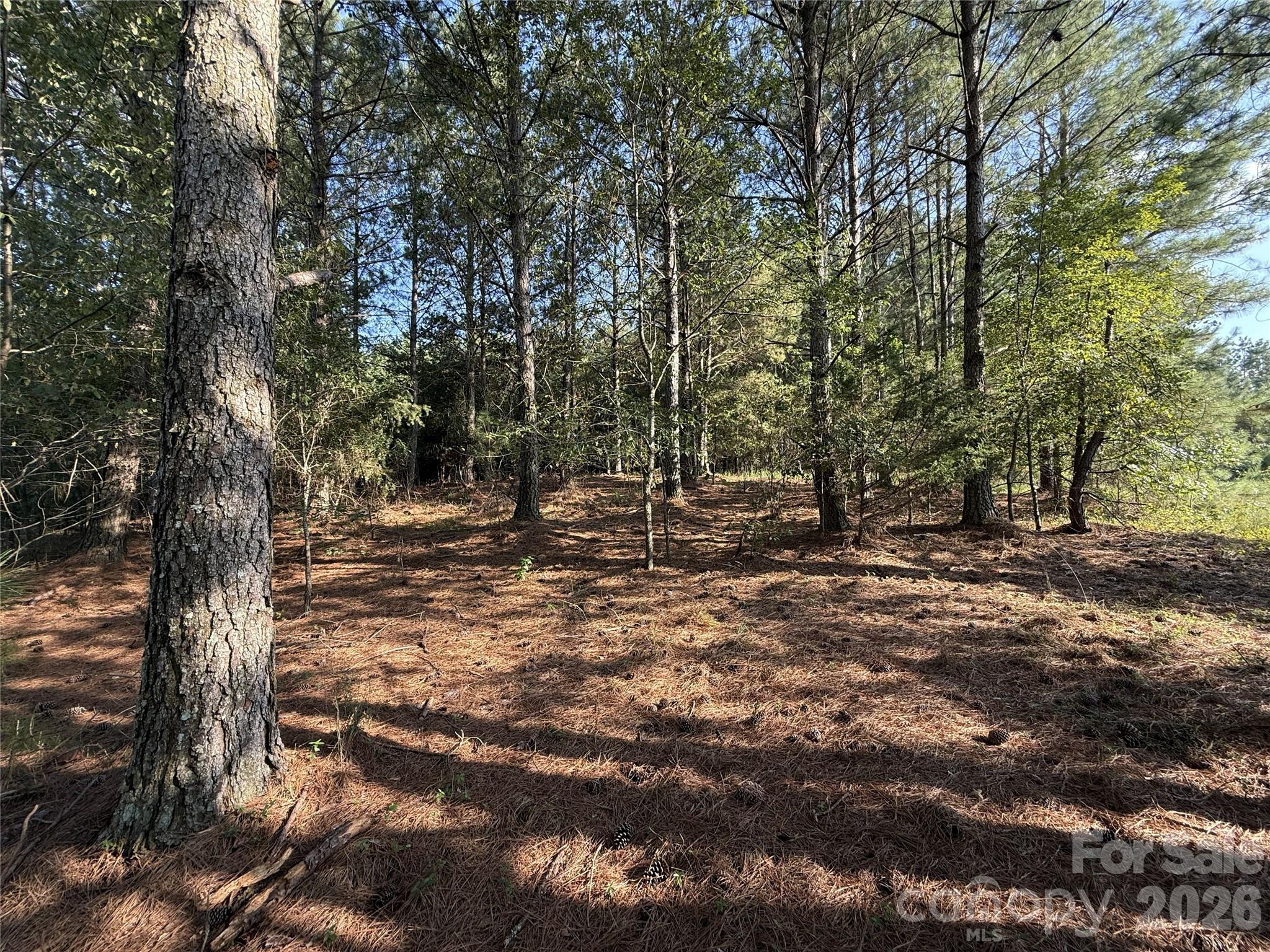 110 River View Drive 5 Property Photo 11