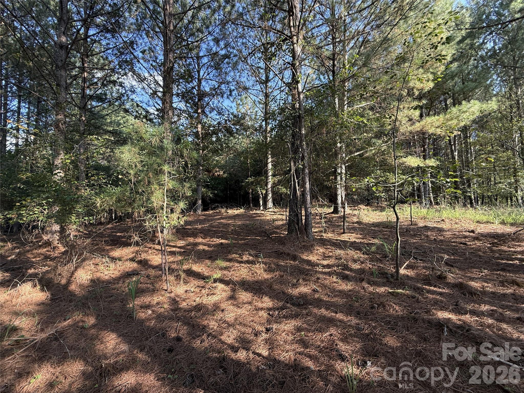 110 River View Drive 5 Property Photo 13