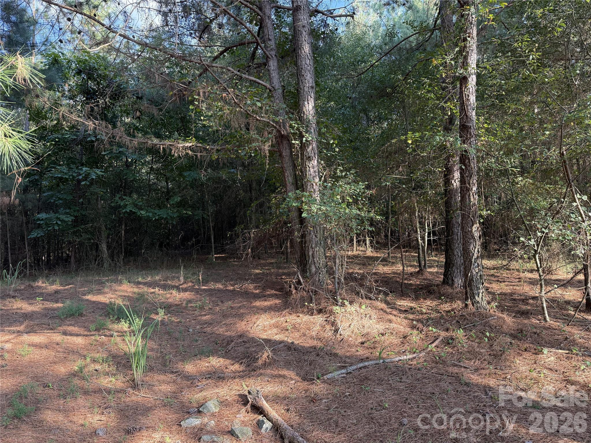 110 River View Drive 5 Property Photo 21