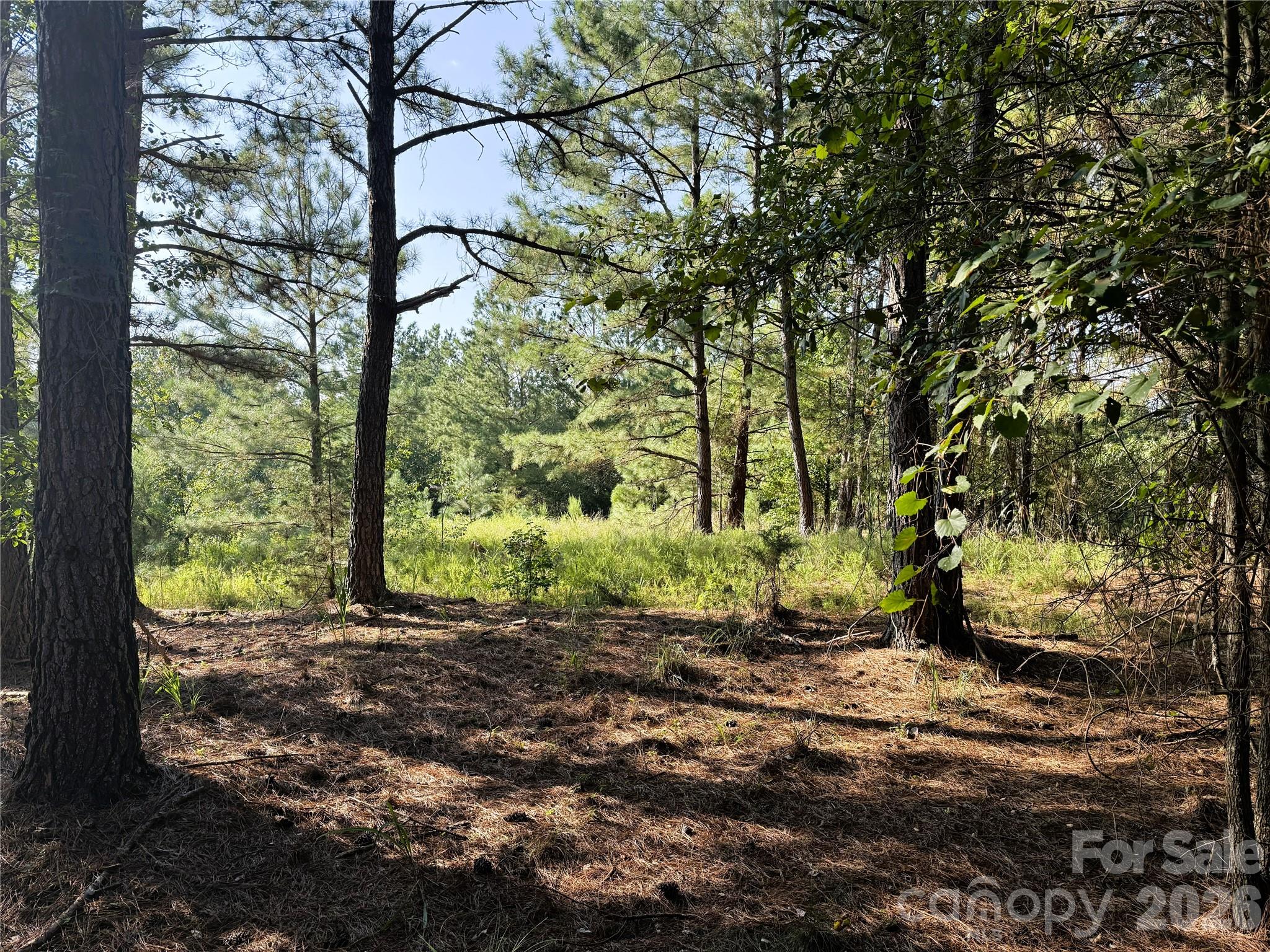 110 River View Drive 5 Property Photo 22