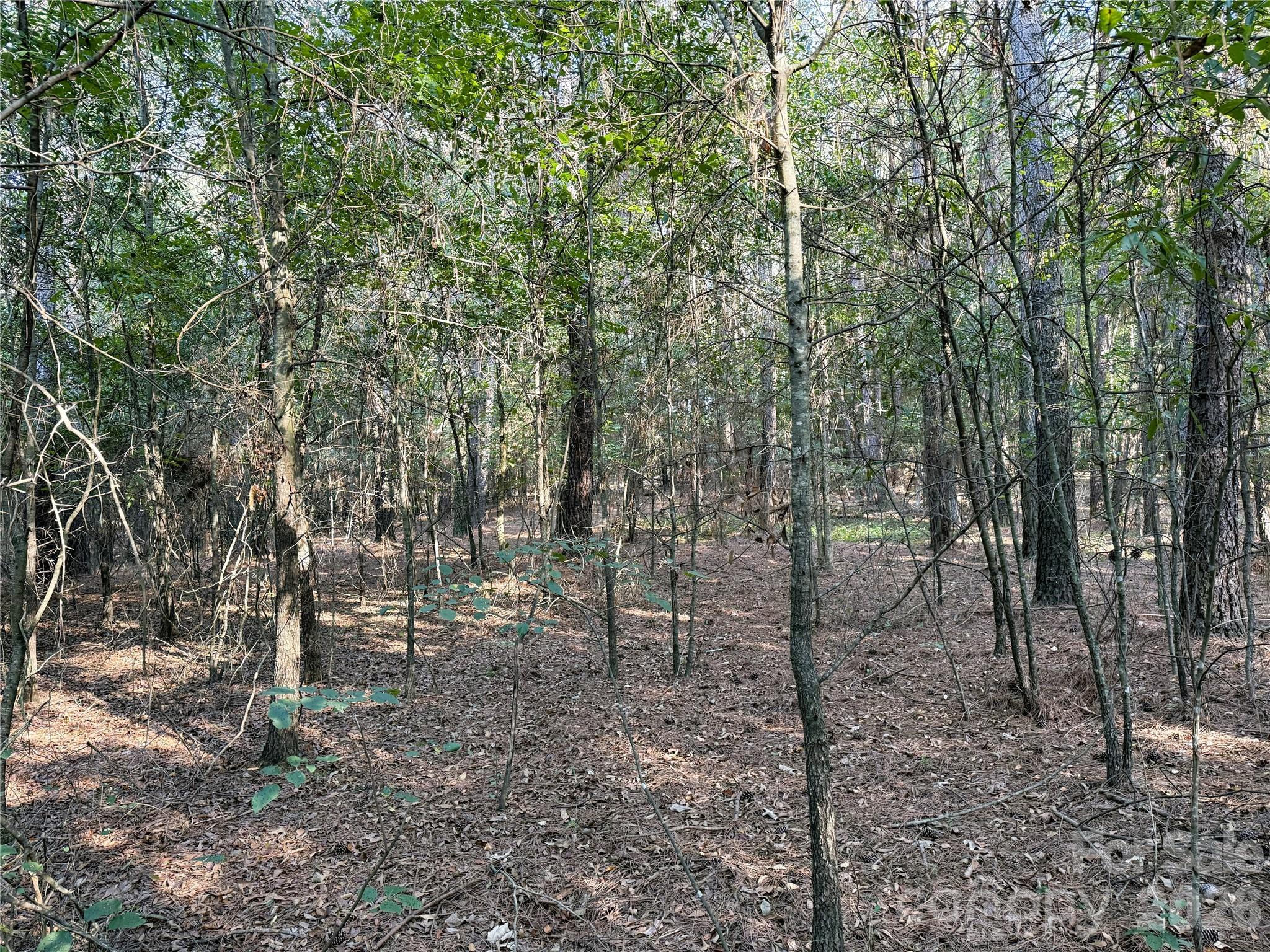 110 River View Drive 5 Property Photo 23