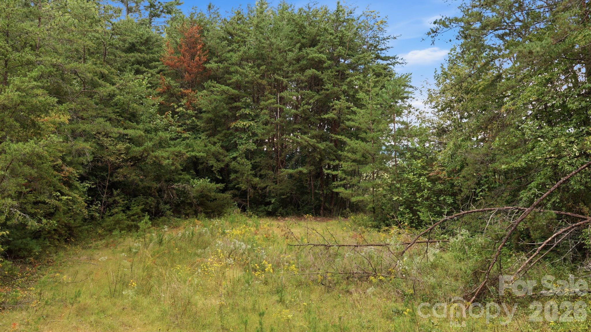 00 Sylva Road Property Photo 5