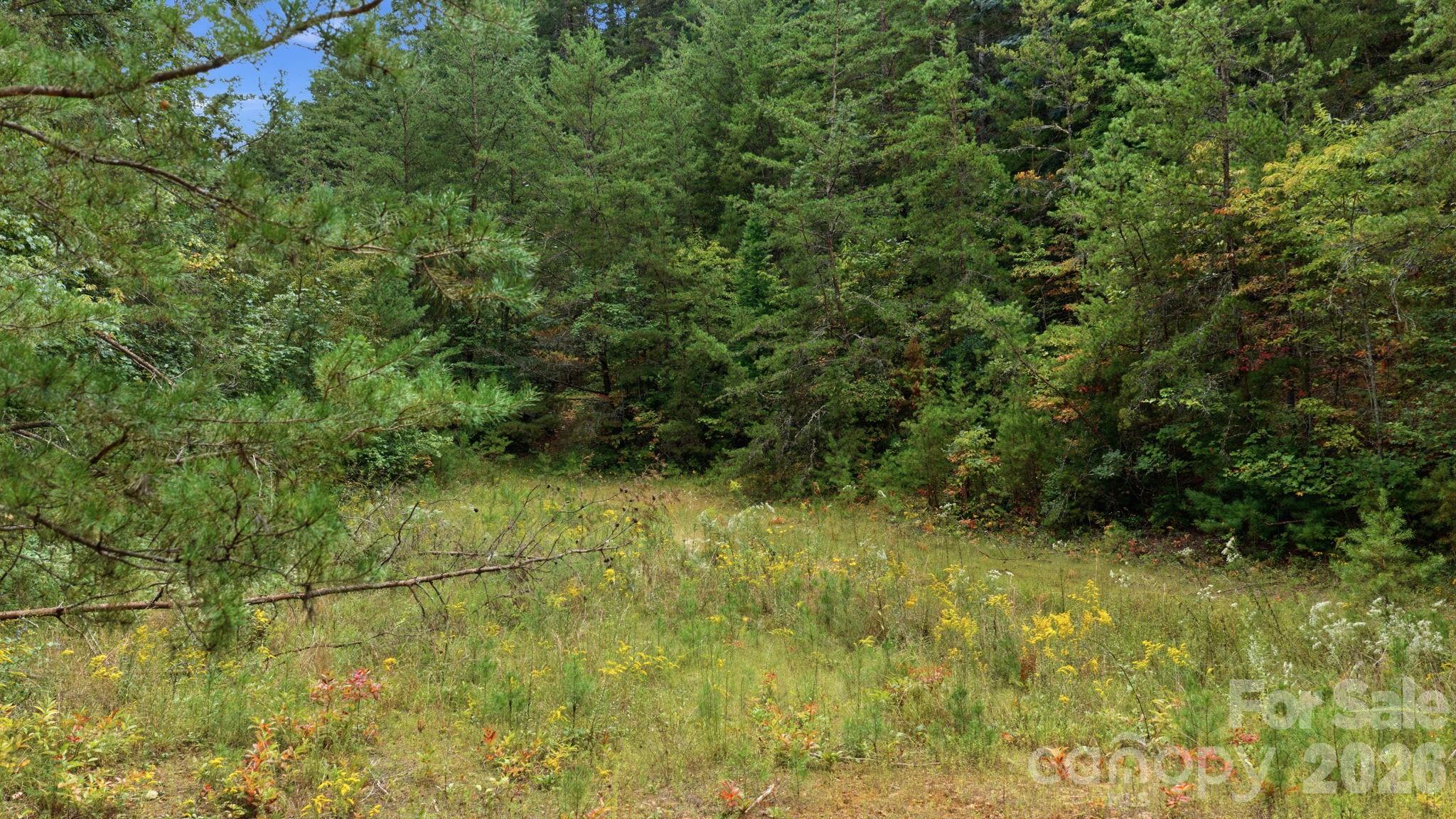00 Sylva Road Property Photo 6