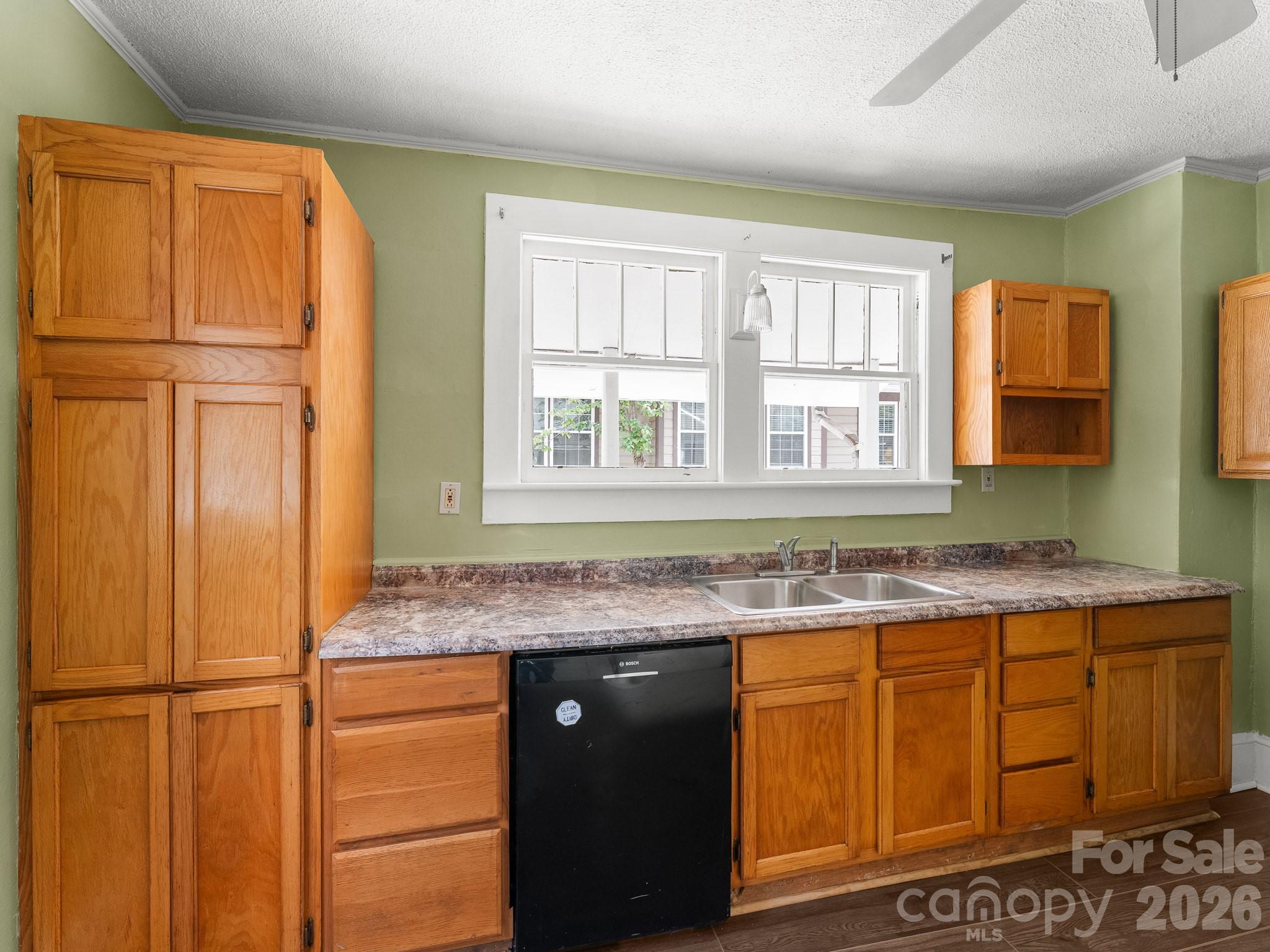 31 Dorchester Avenue Property Photo 16