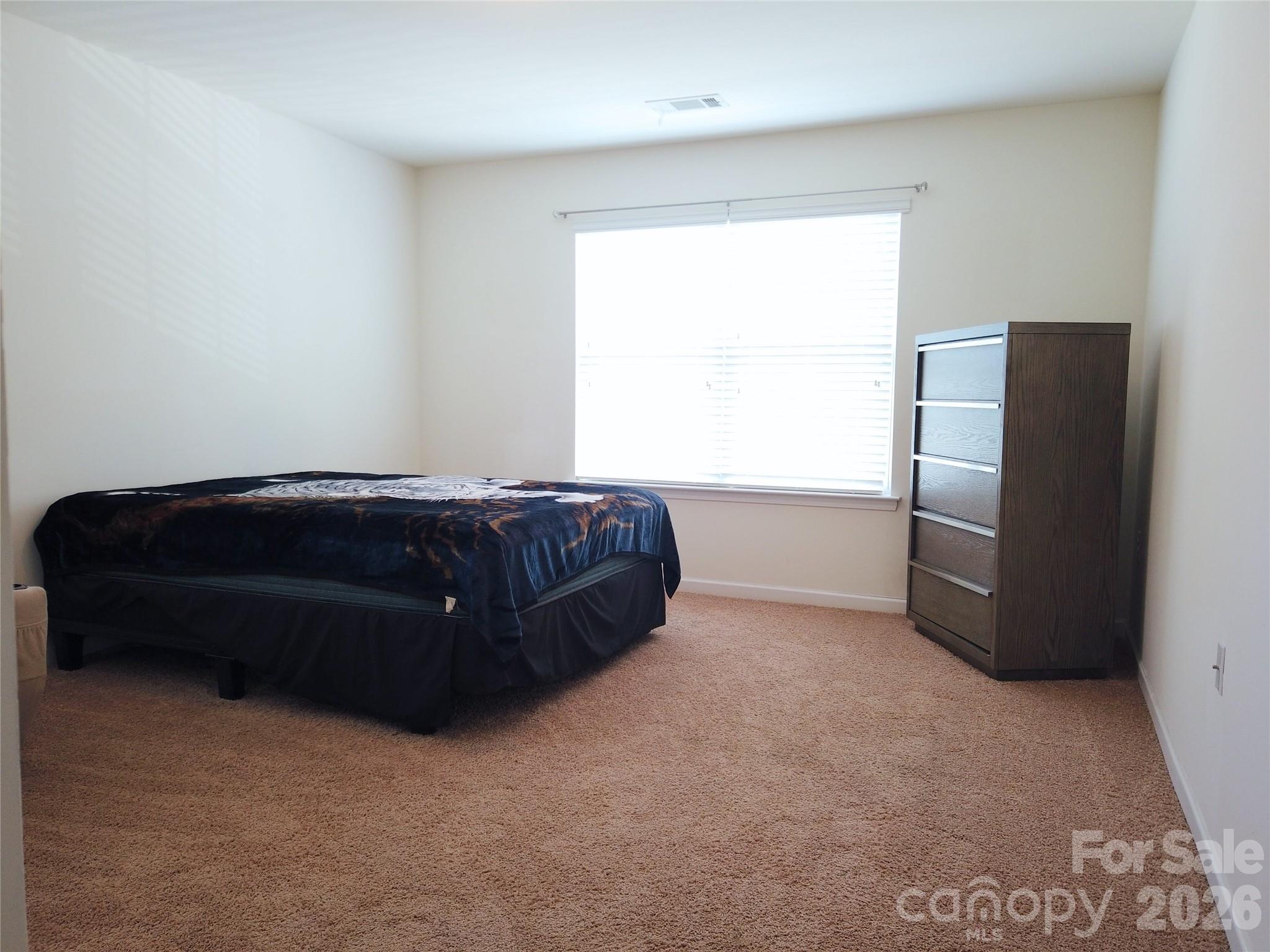 113 Meadow Stream Drive Property Photo 43