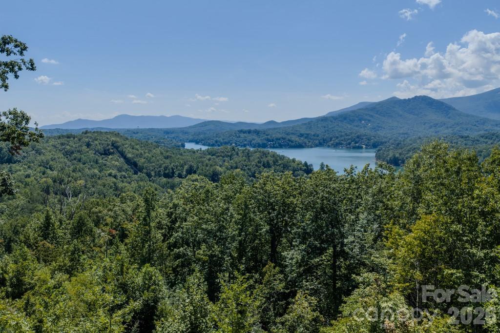 167 Hawks Nest Trail Property Photo 3