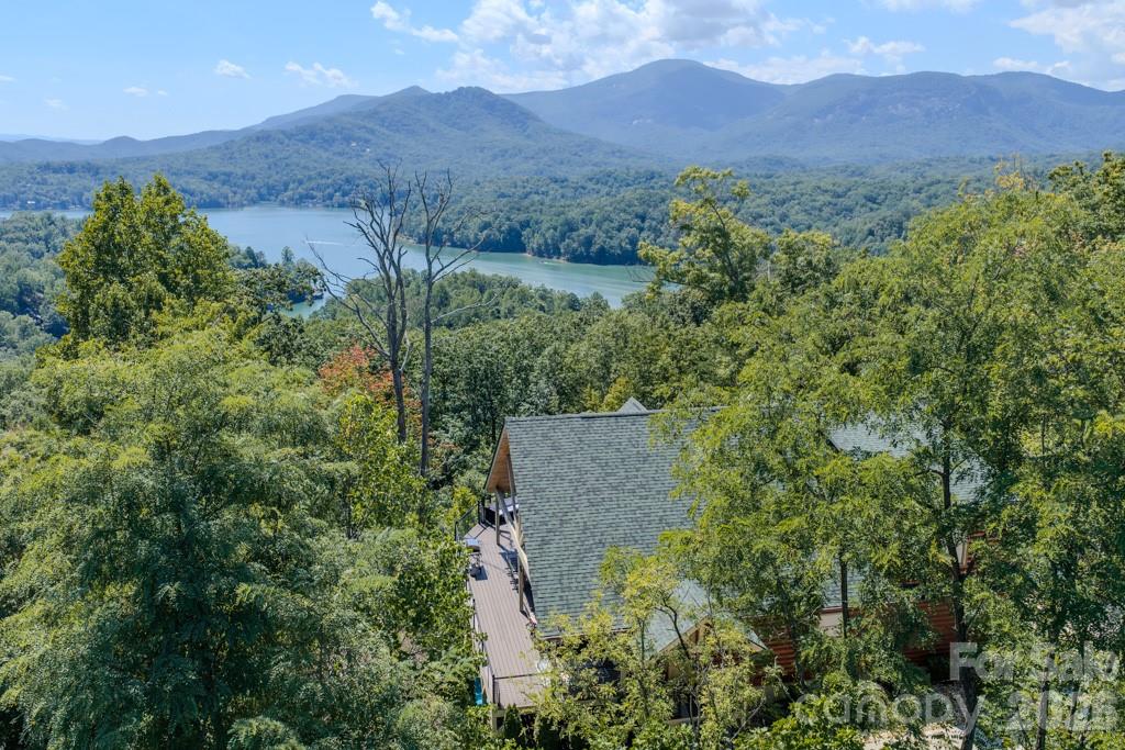 167 Hawks Nest Trail Property Photo 4