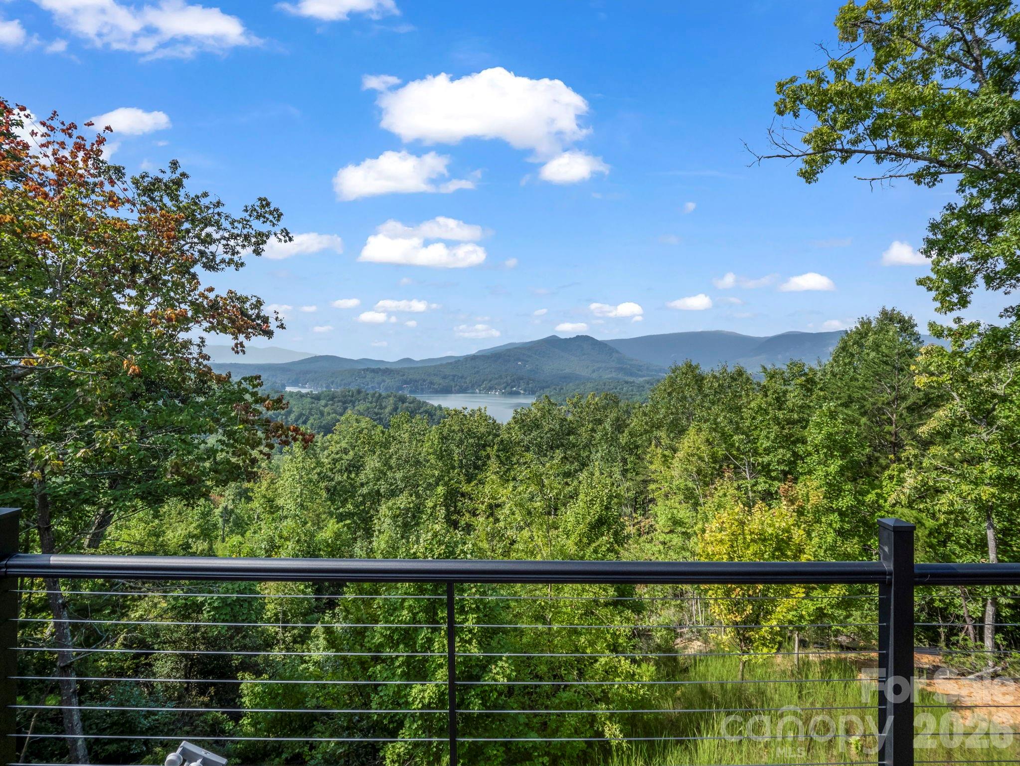 167 Hawks Nest Trail Property Photo 40