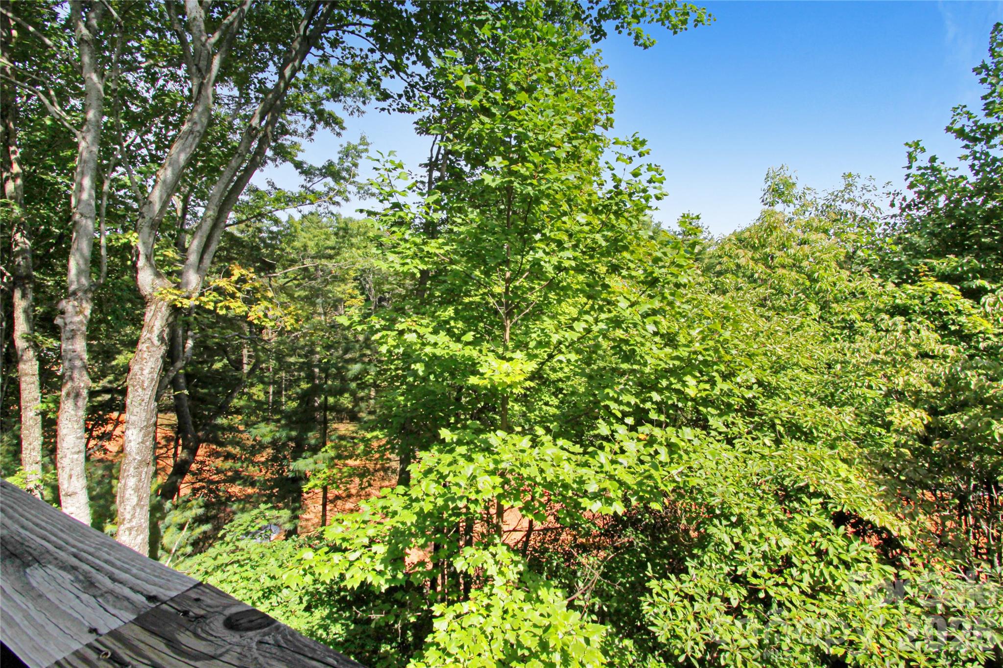 73 Toxaway Views Drive 303 Property Photo 11