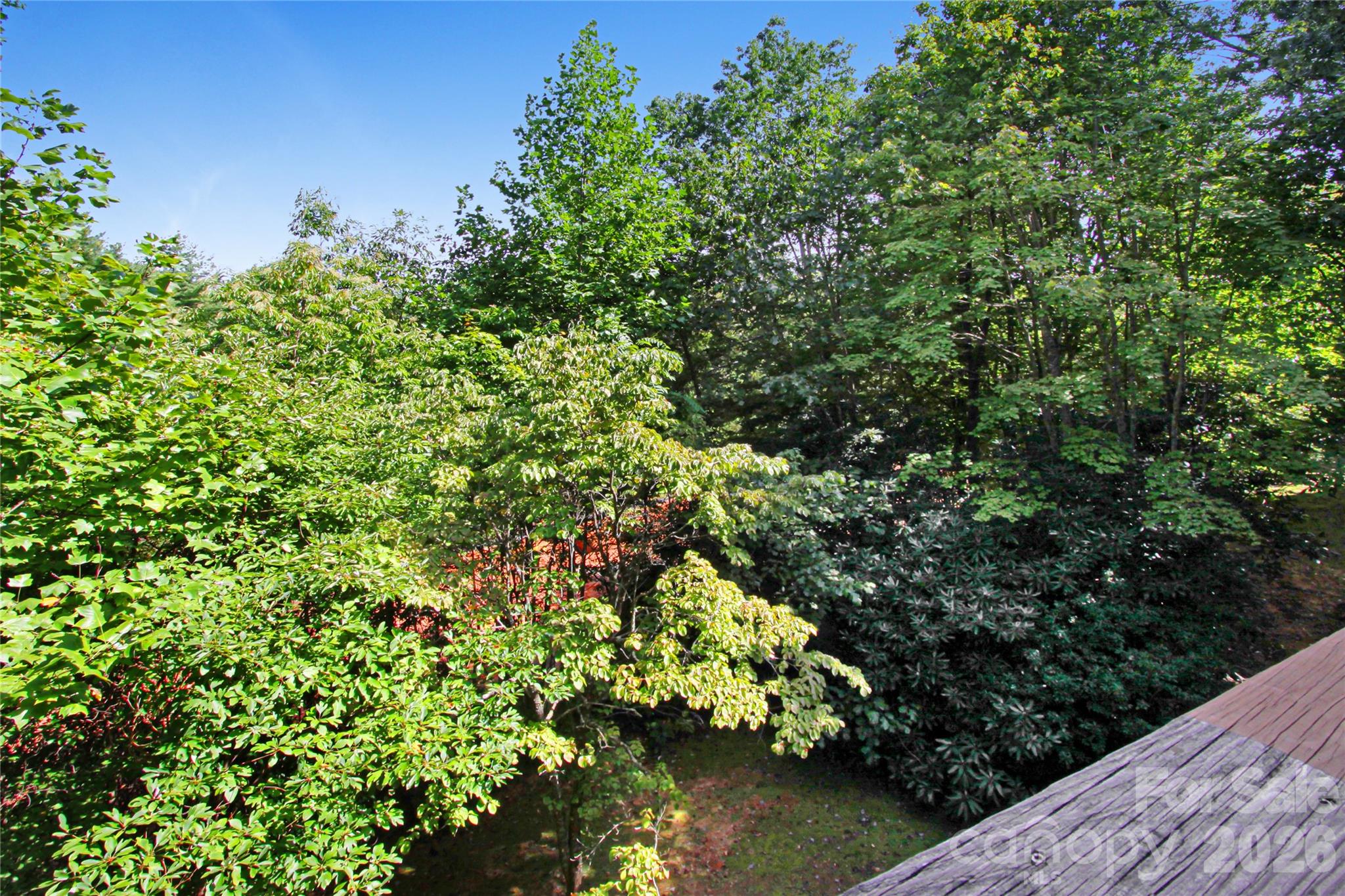 73 Toxaway Views Drive 303 Property Photo 14