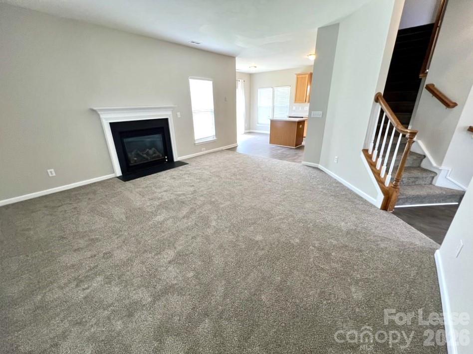 3519 Balsam Tree Drive Property Photo 7