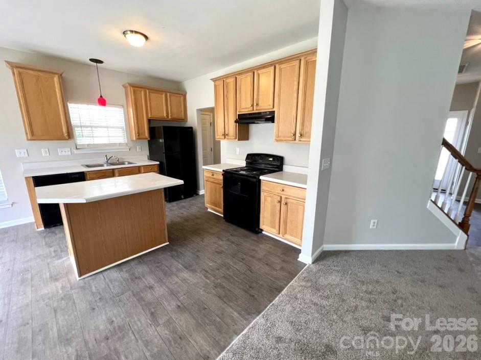 3519 Balsam Tree Drive Property Photo 8