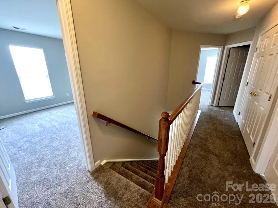 3519 Balsam Tree Drive Property Photo 11