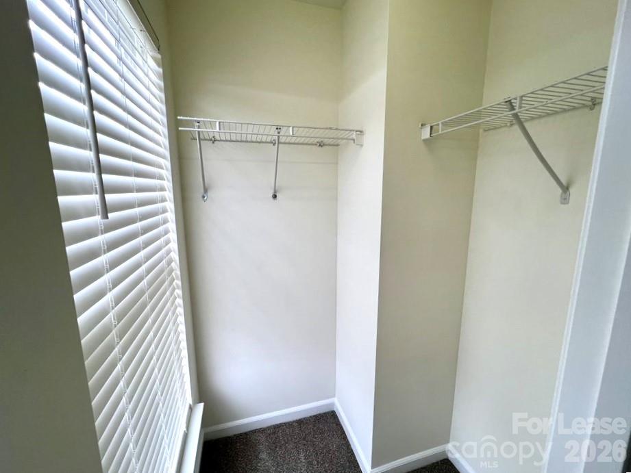 3519 Balsam Tree Drive Property Photo 13