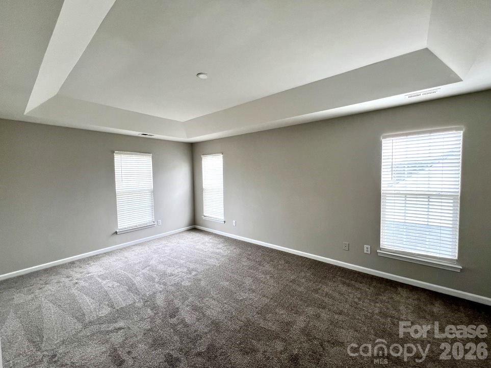 3519 Balsam Tree Drive Property Photo 20