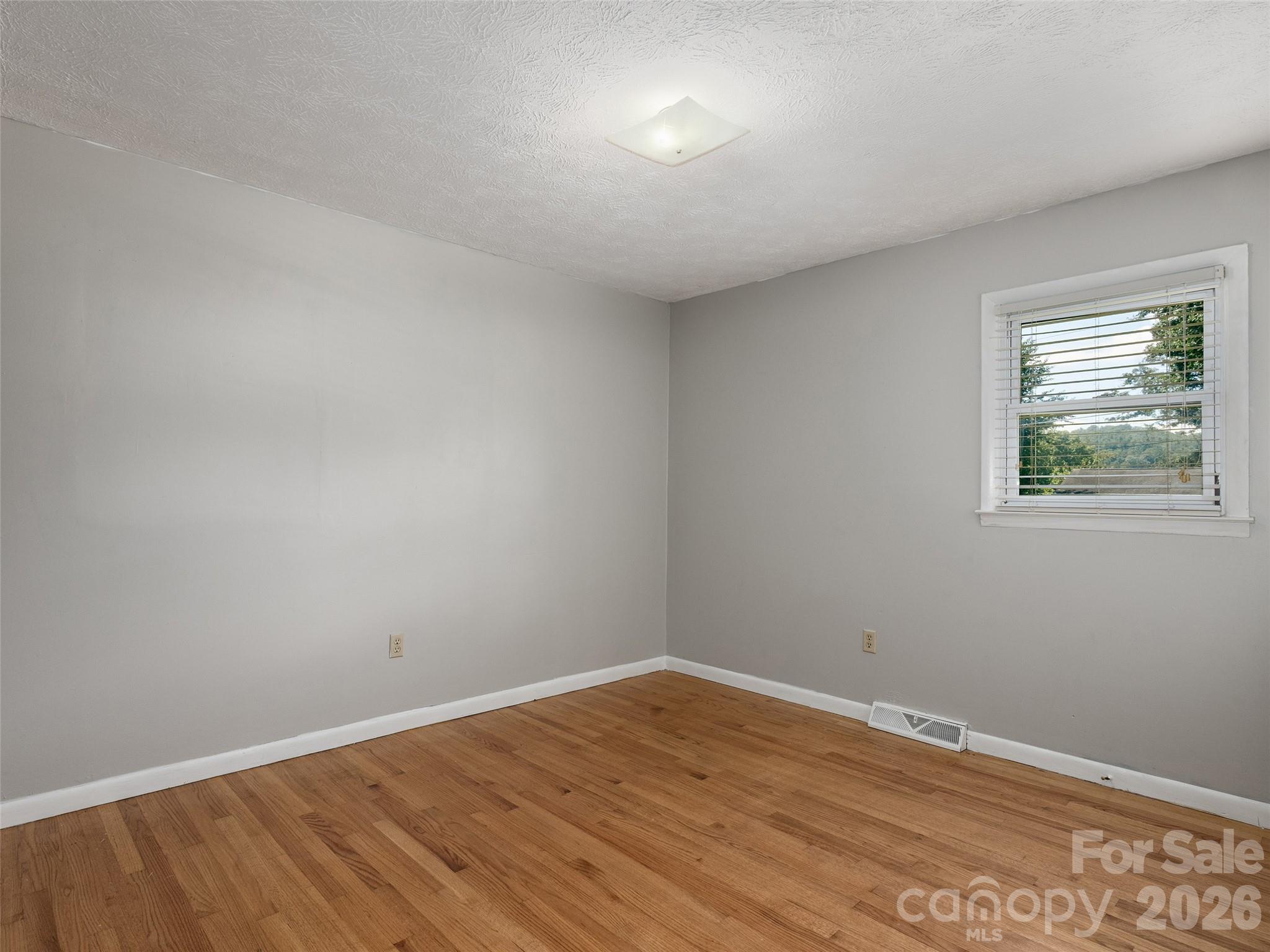 407 Lower Grassy Branch Road Property Photo 15
