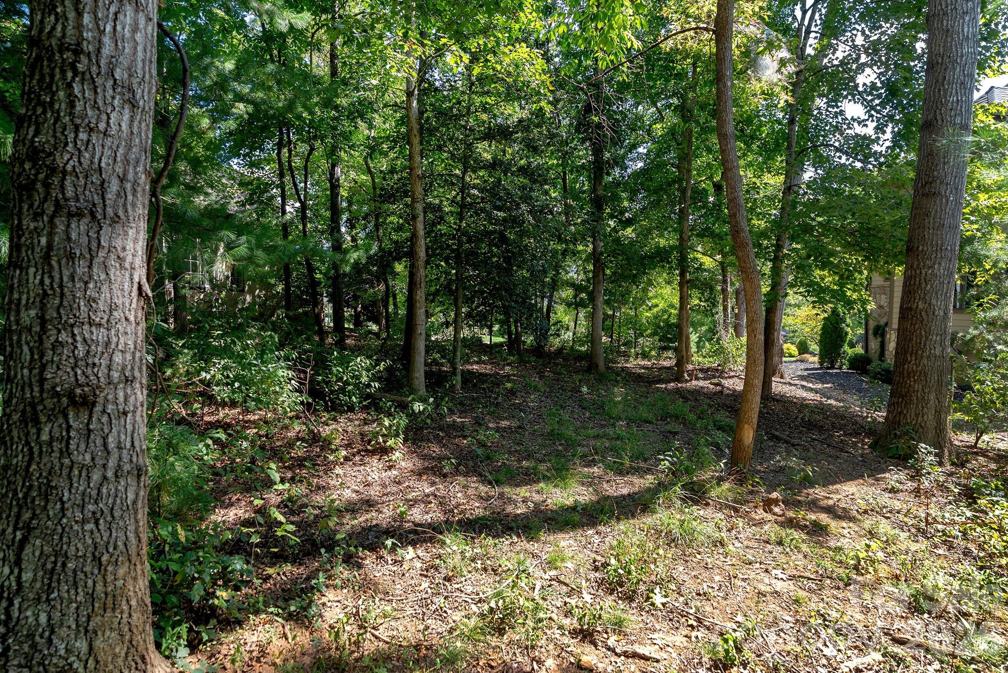 16 Mountain Orchid Way Cwc-cp-085 Property Photo 3