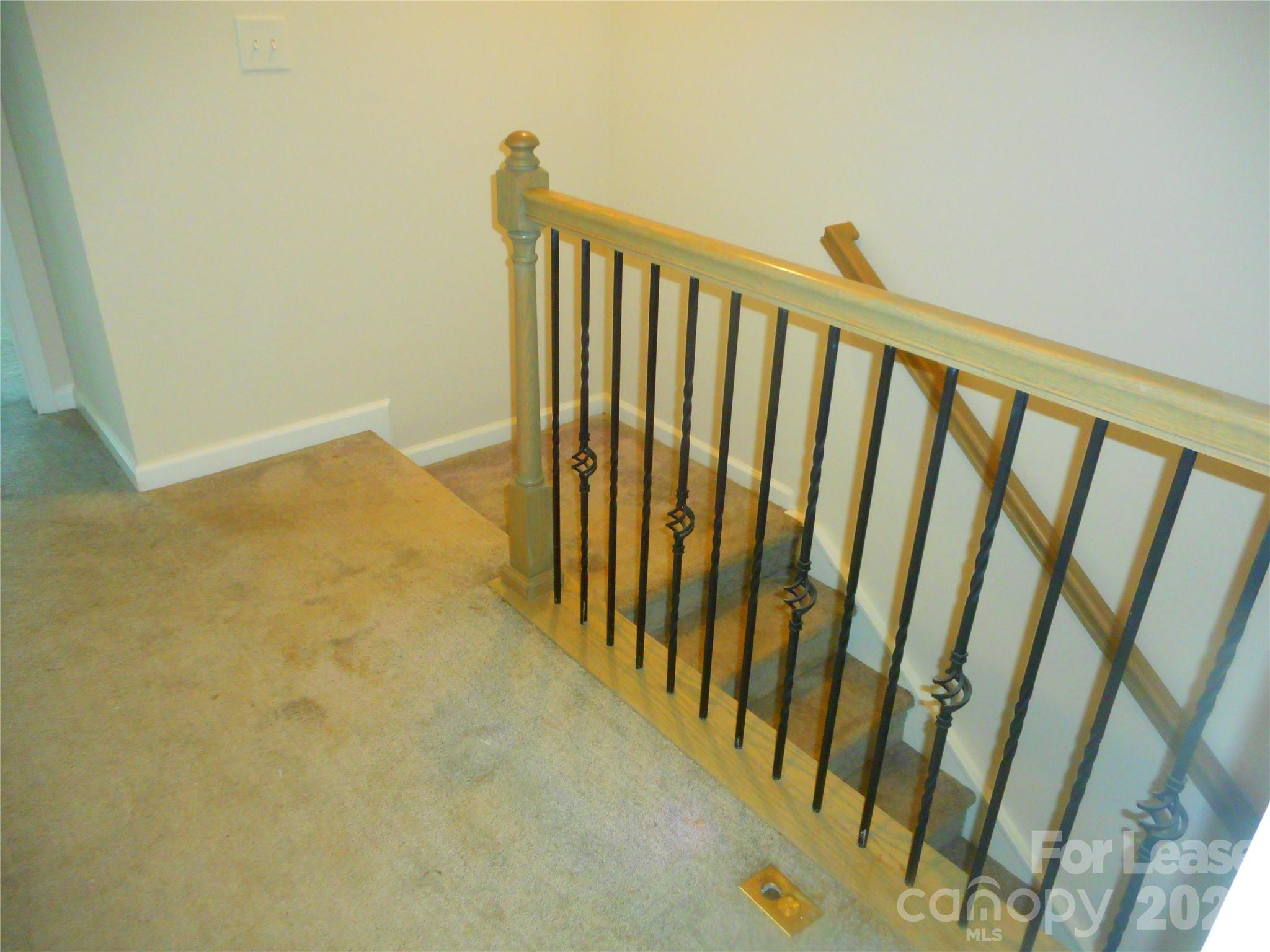 12715 Wandering Brook Drive Property Photo 19