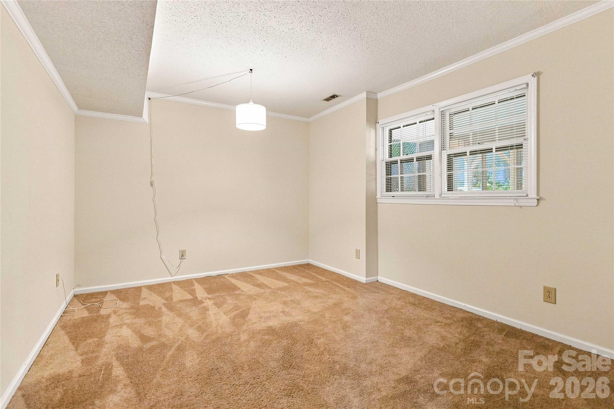 5000 Cedar Forest Drive Property Photo 29
