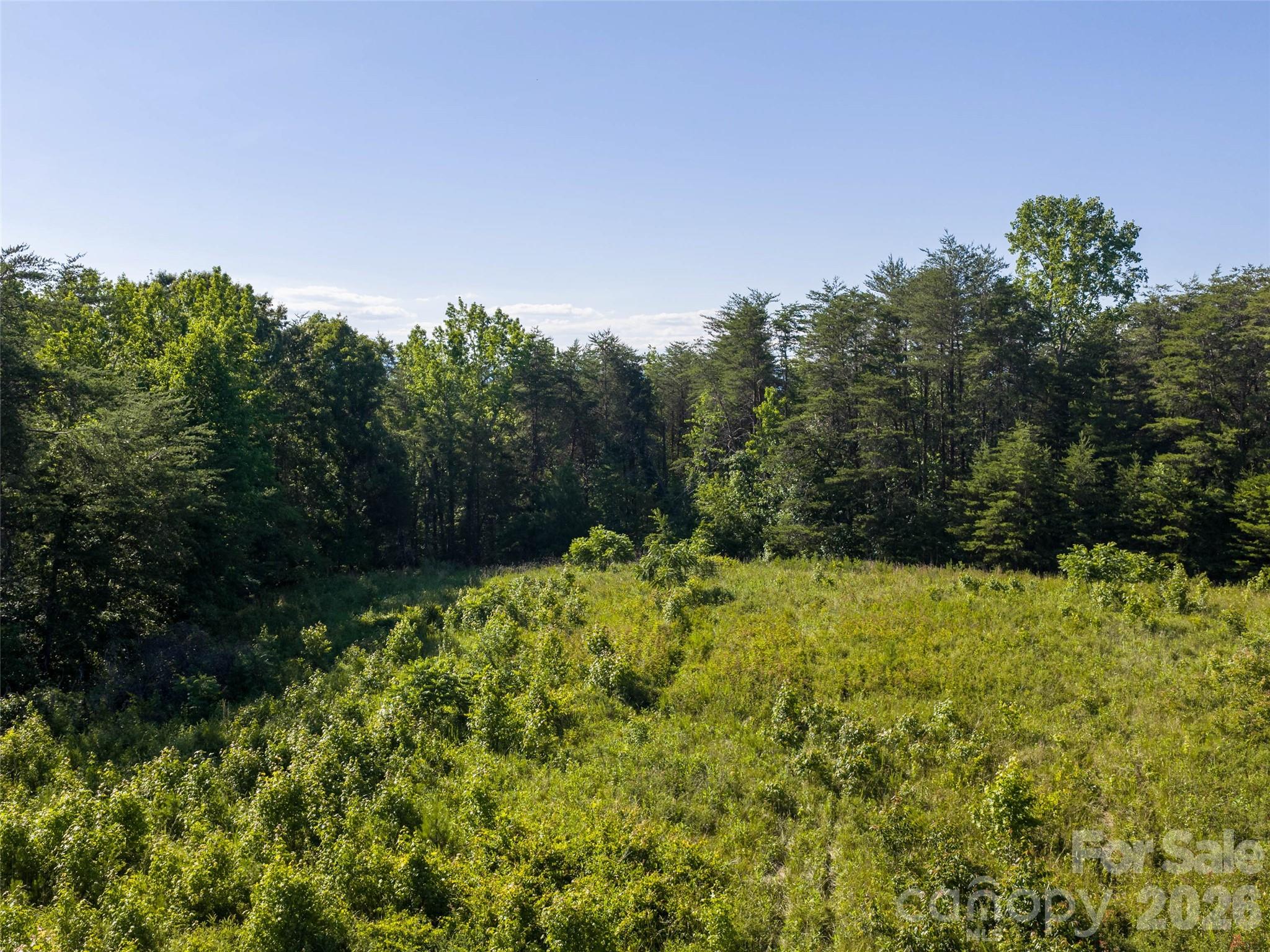 Lot 14 Saddleside Drive Property Photo 2