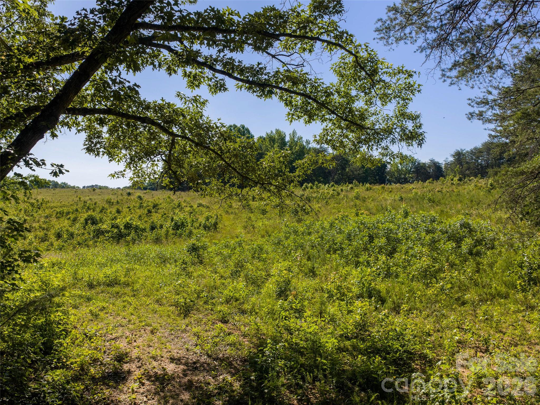 Lot 14 Saddleside Drive Property Photo 4