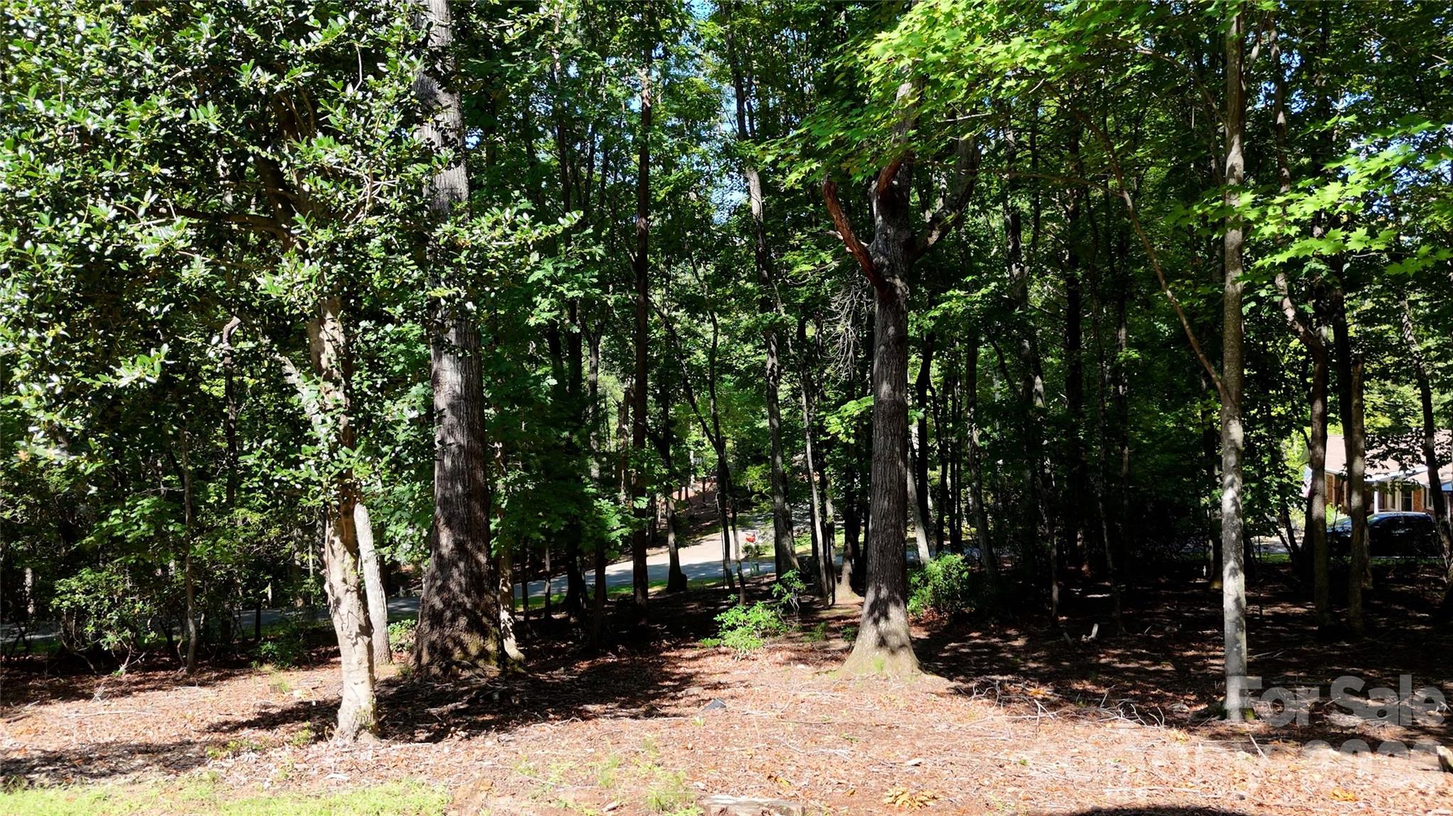 1137 Mountain Laurel Drive Property Photo 46