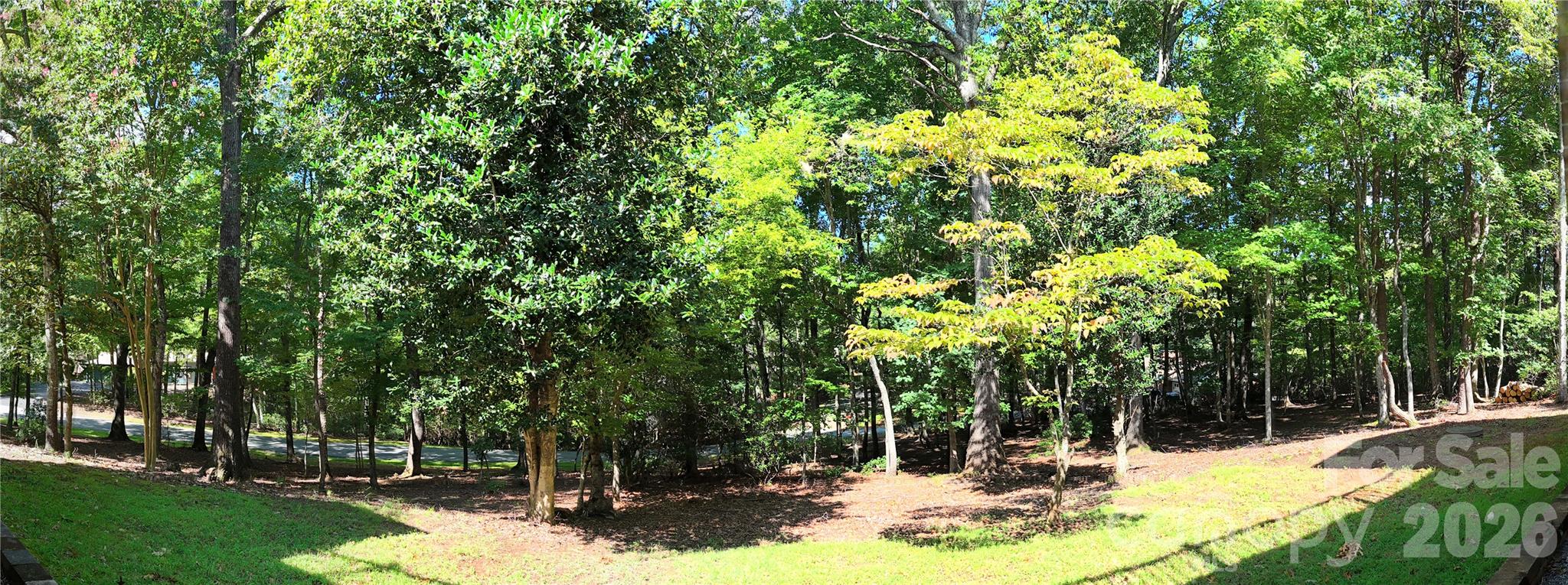 1137 Mountain Laurel Drive Property Photo 47