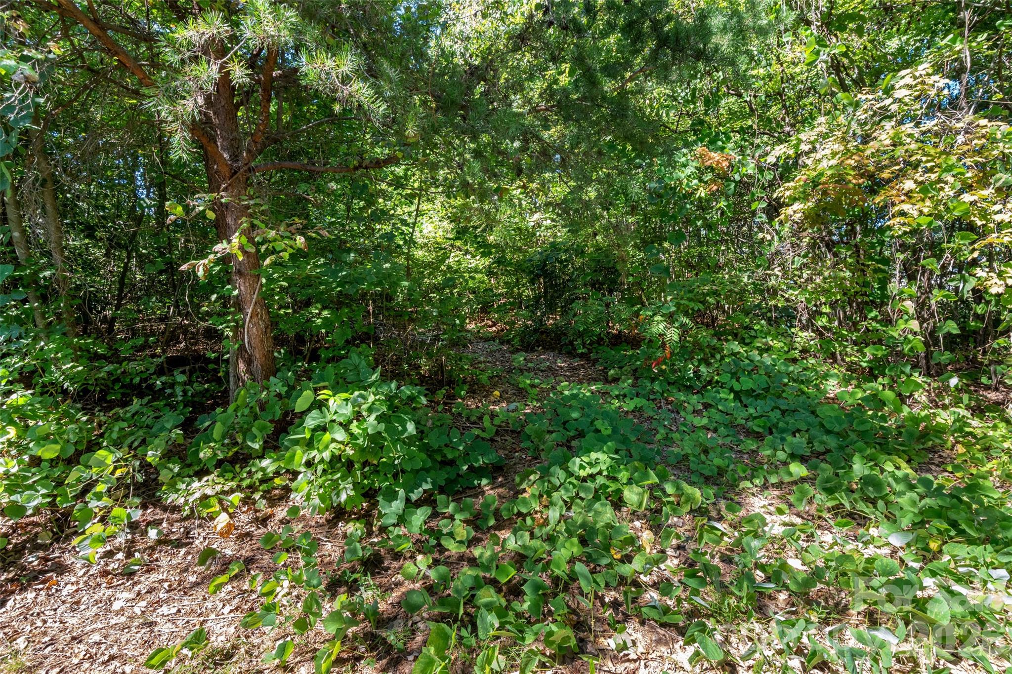 4756 Sierra Drive Property Photo 35