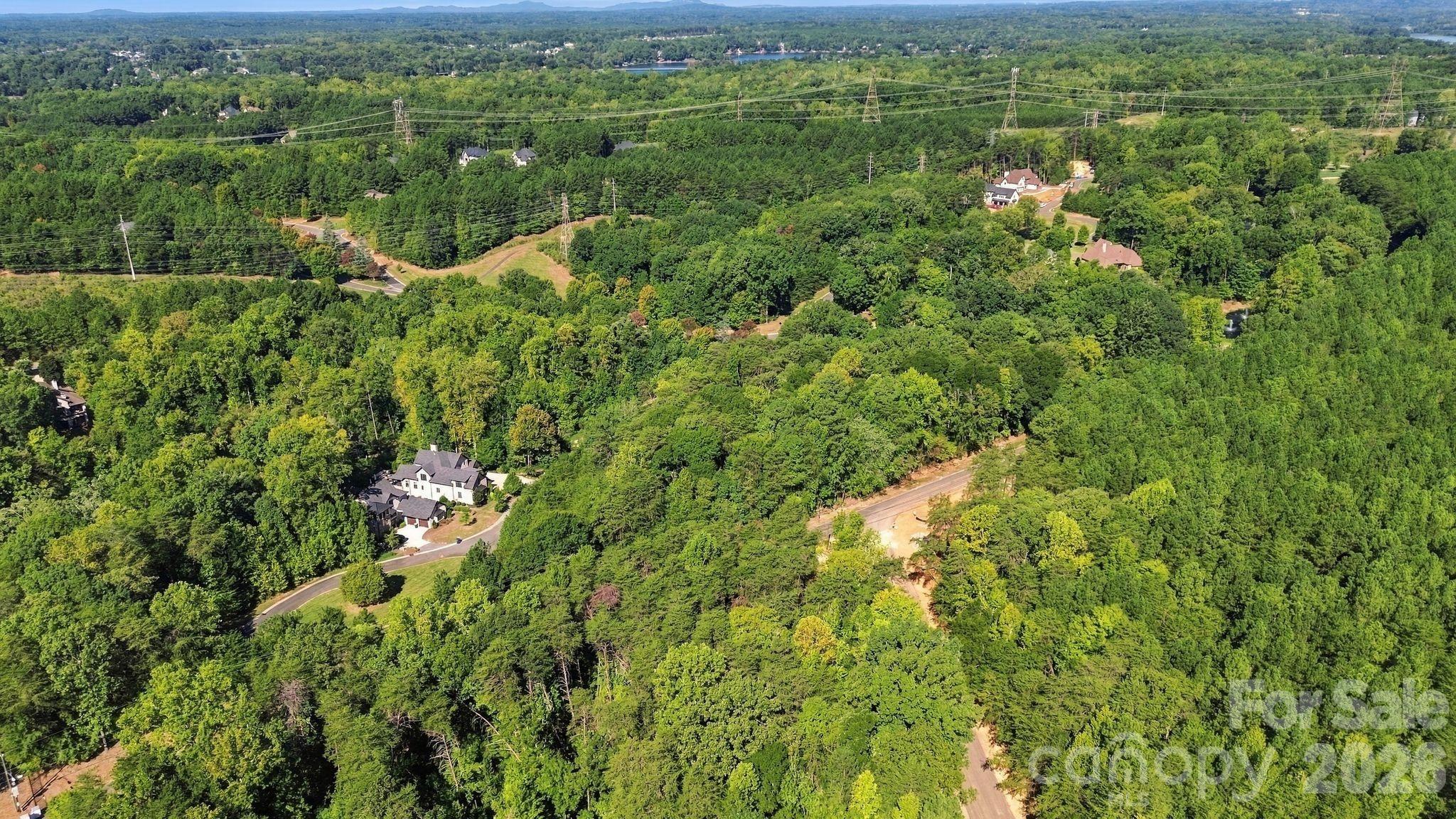 1021 Hartshaw Court Property Photo 10