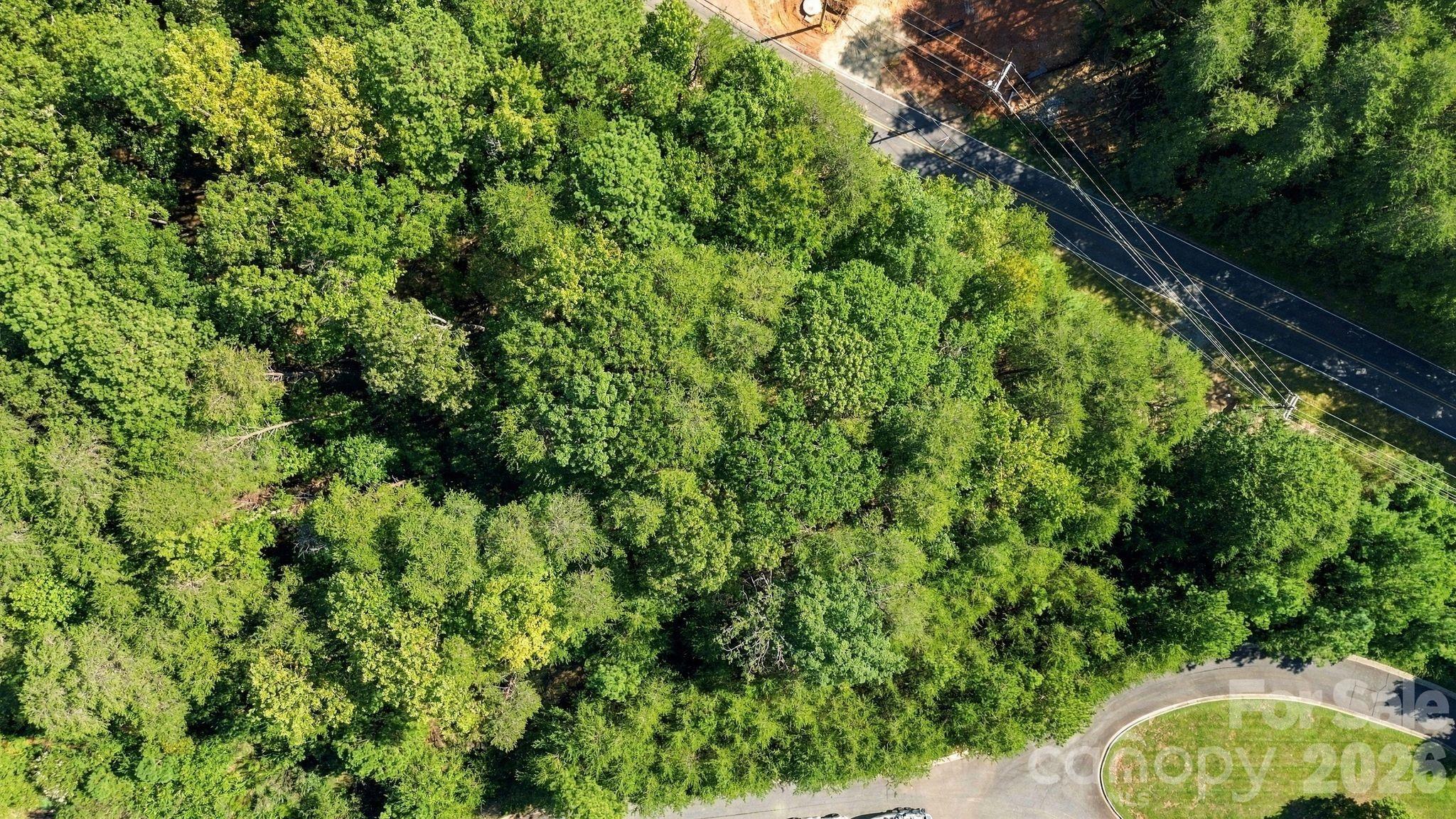 1021 Hartshaw Court Property Photo 12