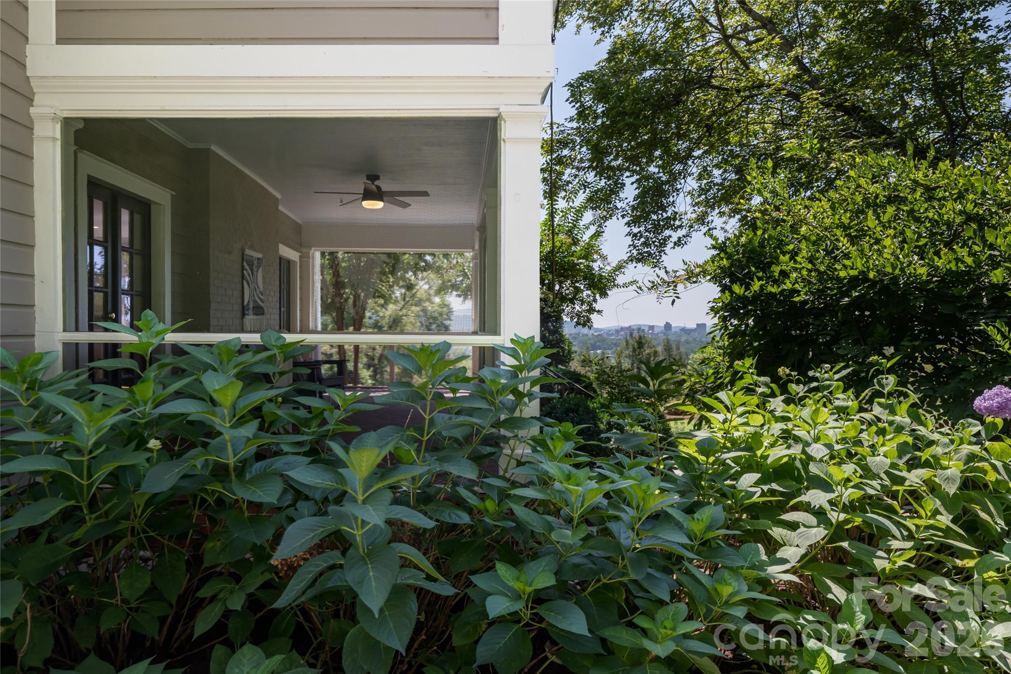 35 Elias Place Property Photo 41