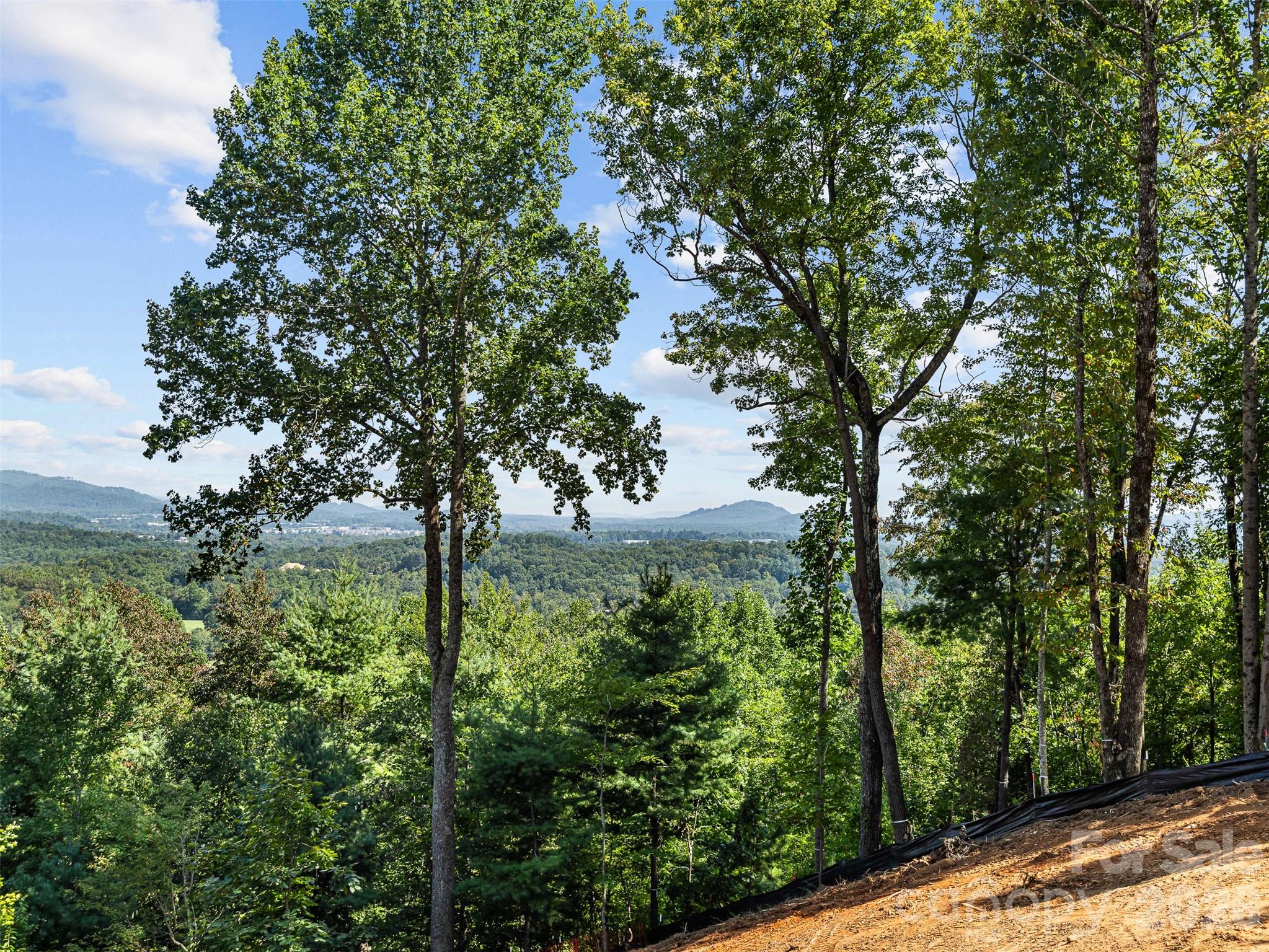 114 Split Rock Trail 8 Property Photo 19