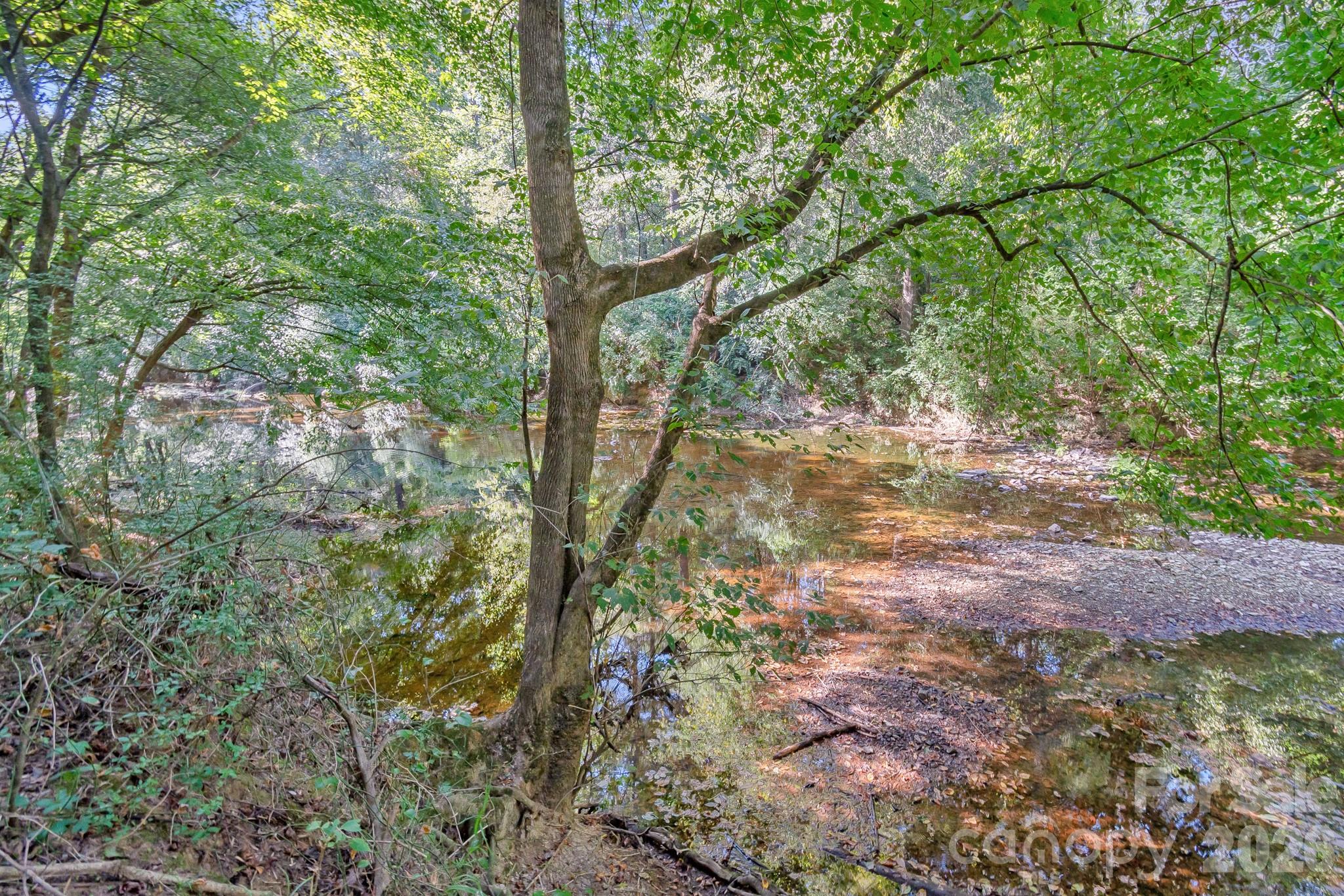 589 Bill Curlee Road Property Photo 3